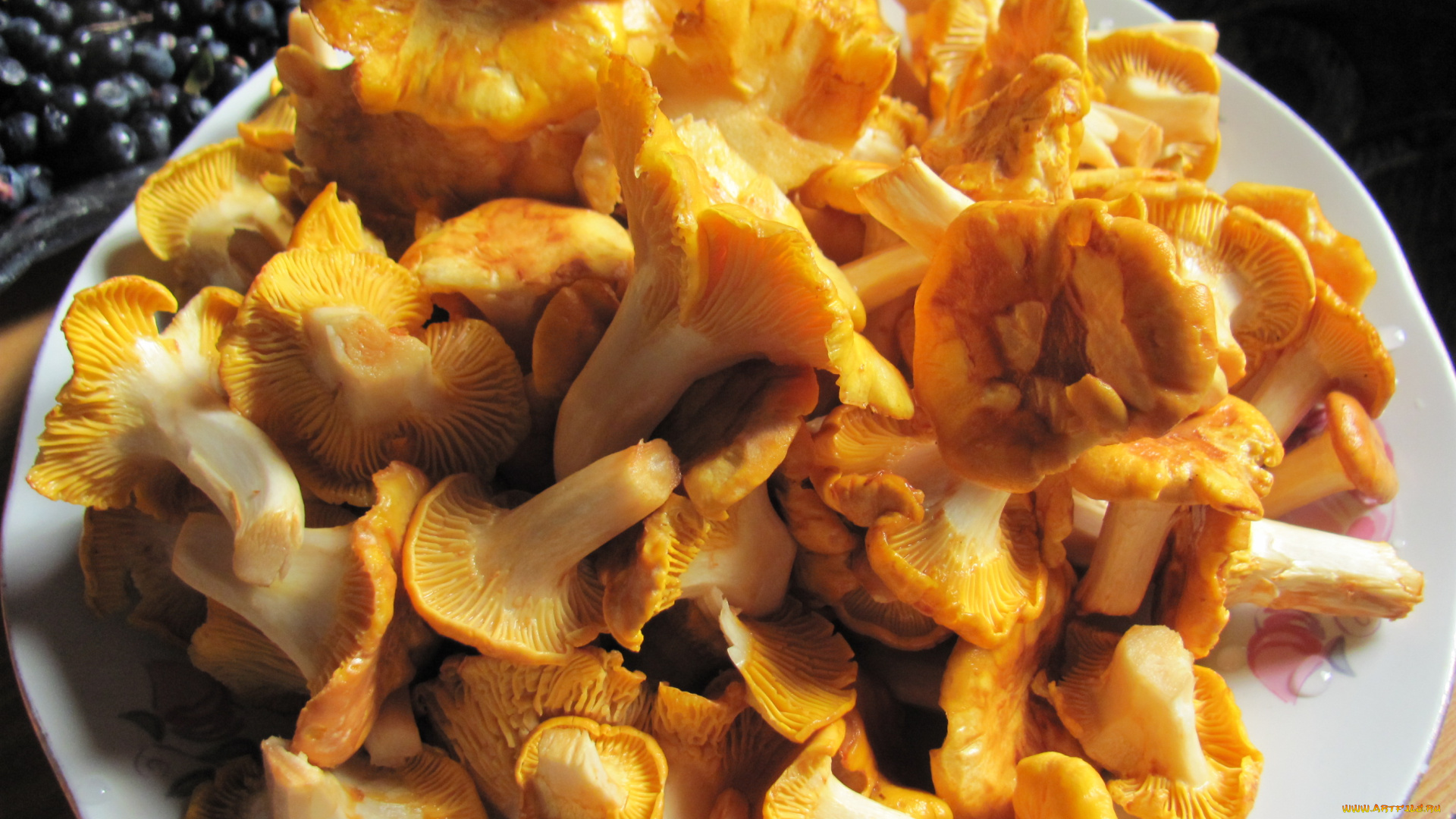 еда, грибы, , грибные, блюда, лисички