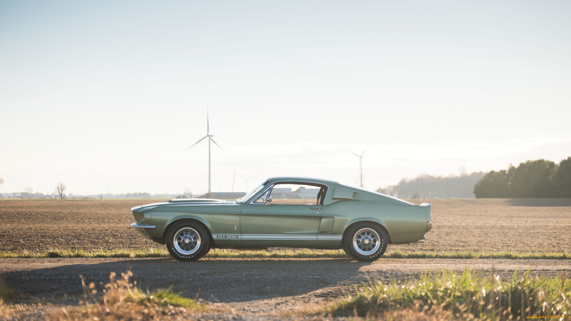 eleanor, автомобили, mustang, shelby, gt500