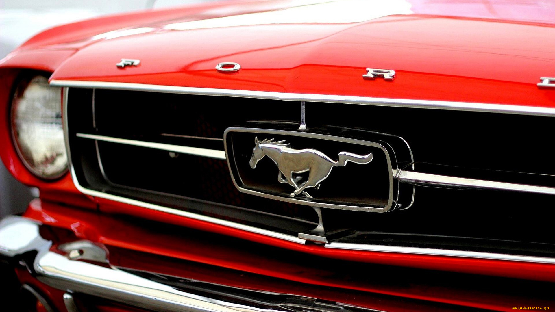 ford, mustang, автомобили, фрагменты, автомобиля, красный, эмблема