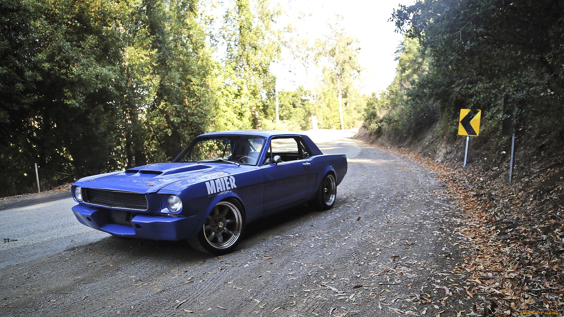 ford, mustang, автомобили, mustang, синий, дорога, указатель, лес