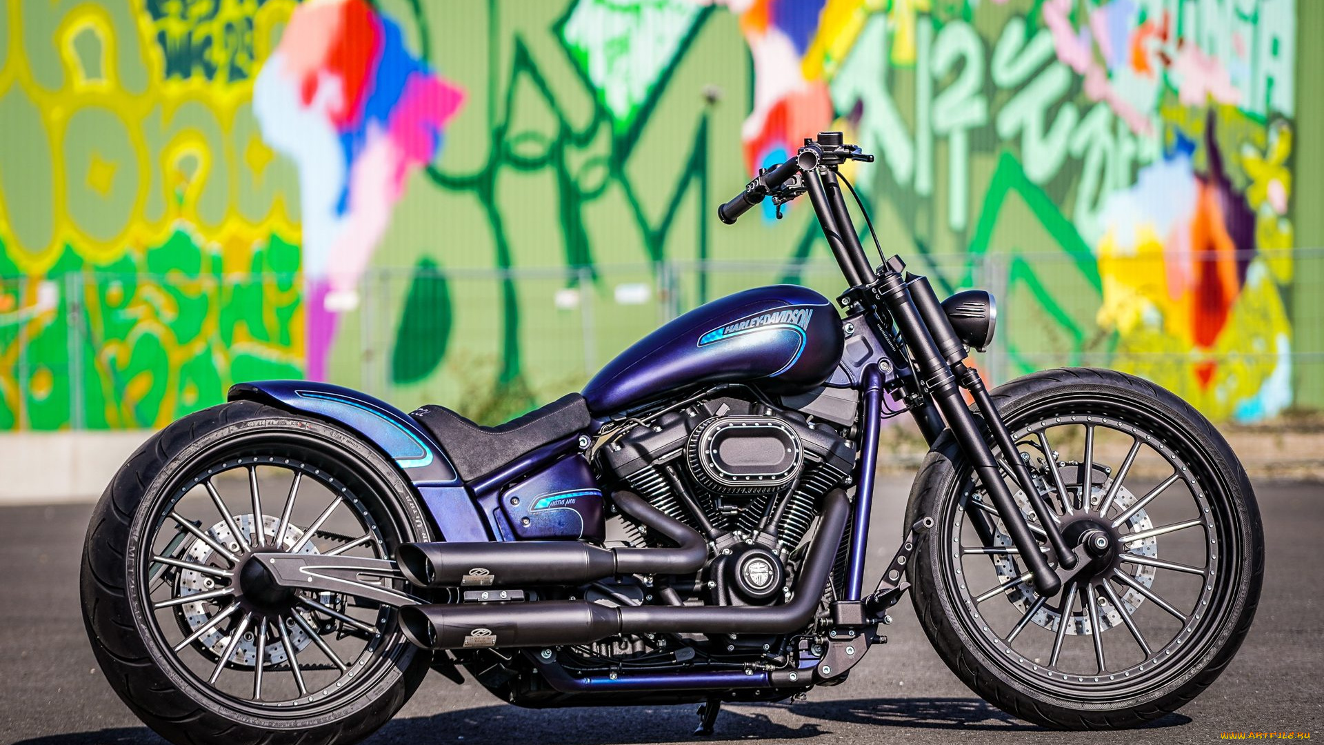 харлей, мотоциклы, harley-davidson, мотоцикл, байк, thunderbike, customs