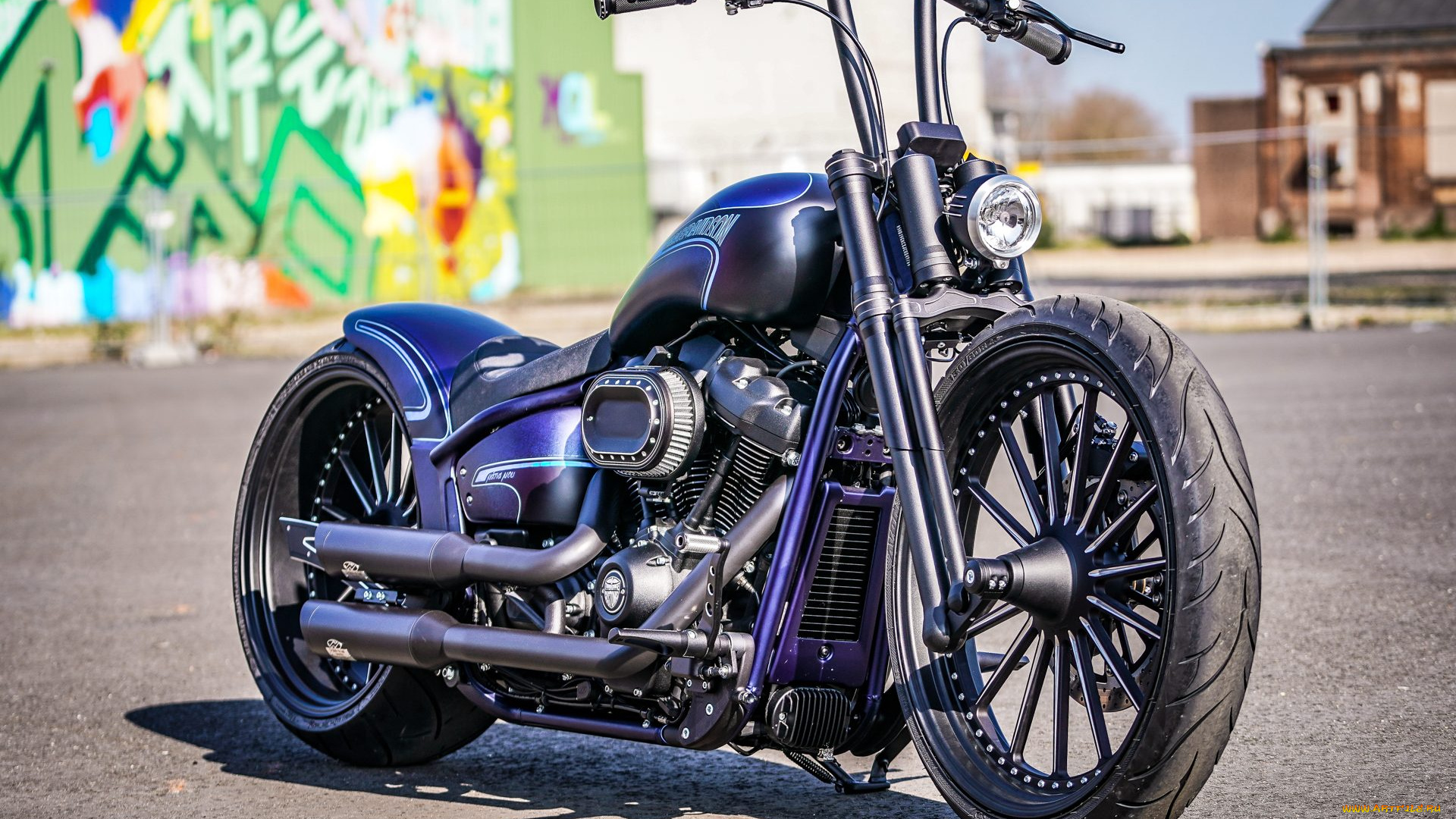 харлей, мотоциклы, harley-davidson, мотоцикл, байк, thunderbike, customs