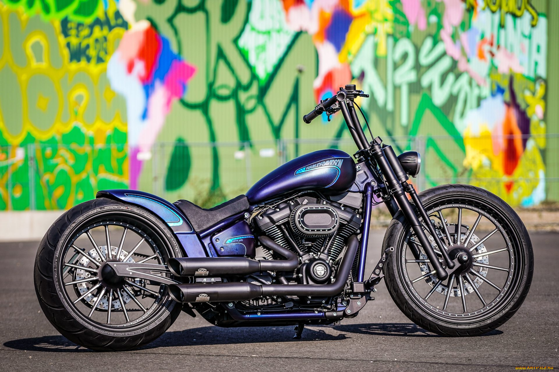 харлей, мотоциклы, harley-davidson, мотоцикл, байк, thunderbike, customs
