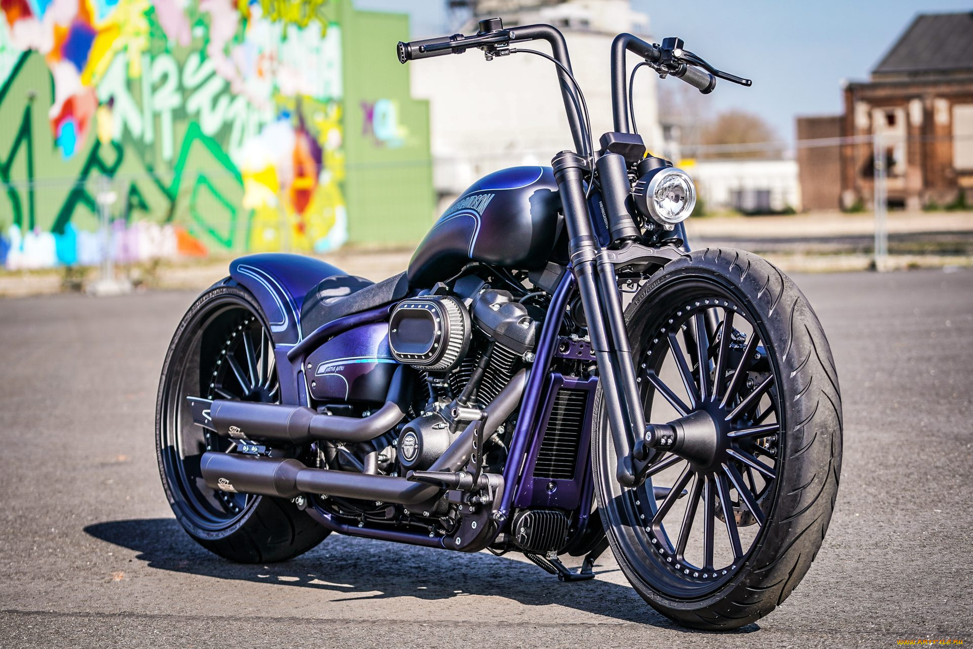 харлей, мотоциклы, harley-davidson, мотоцикл, байк, thunderbike, customs
