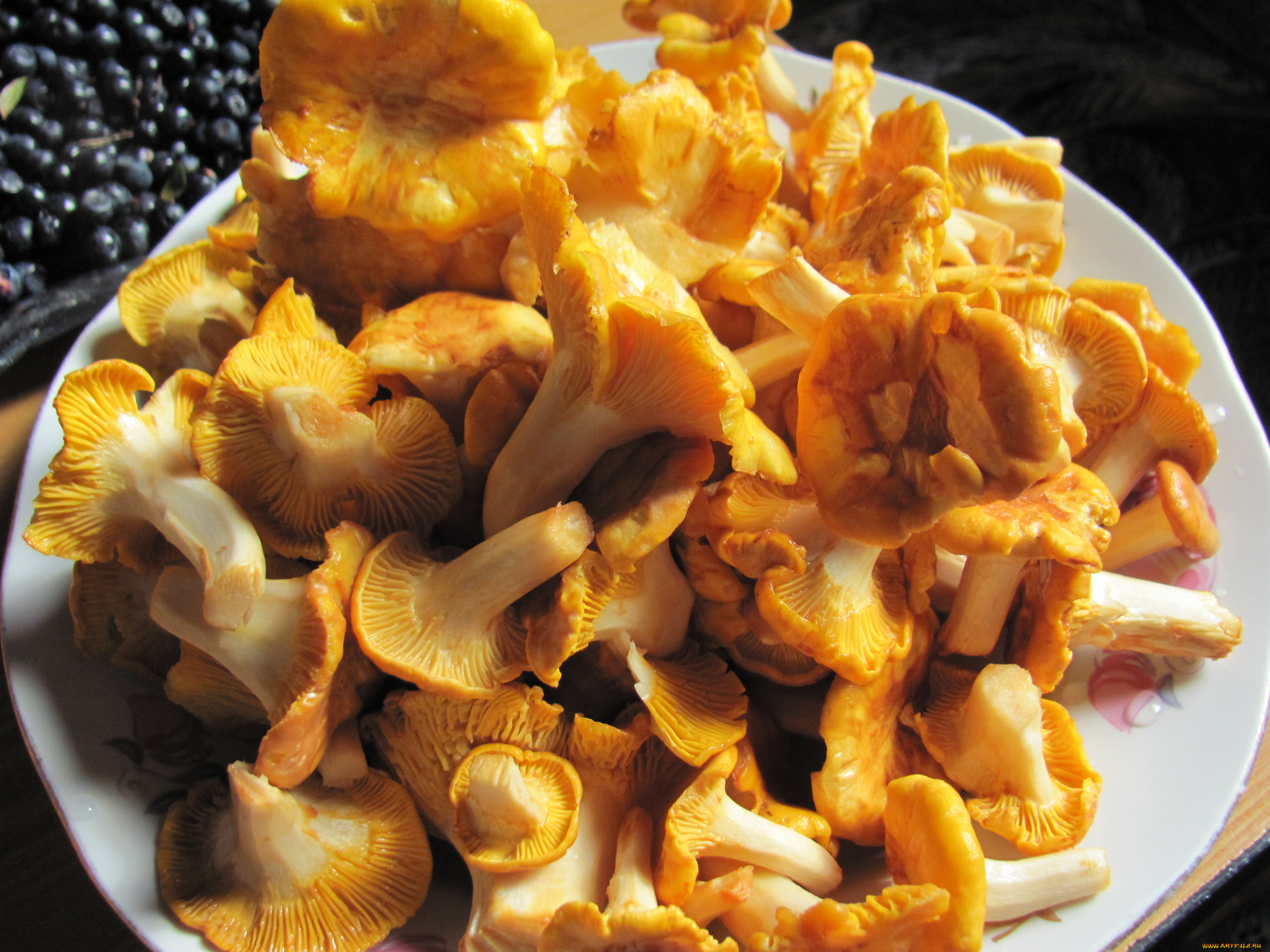 еда, грибы, , грибные, блюда, лисички