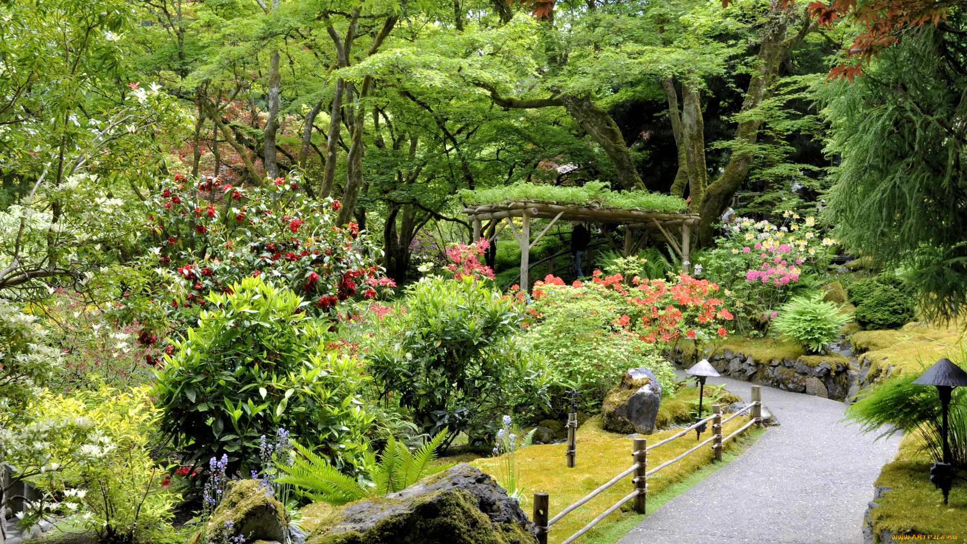 butchart, gardens, victoria, канада, природа, парк