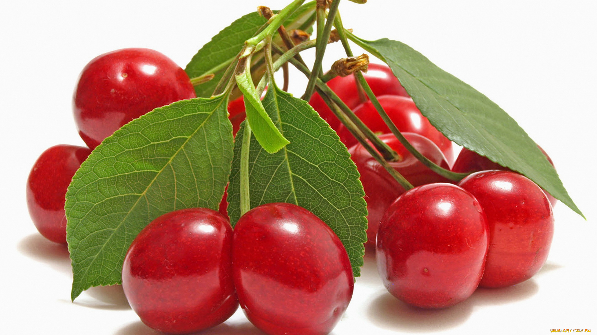 еда, вишня, черешня, вишни