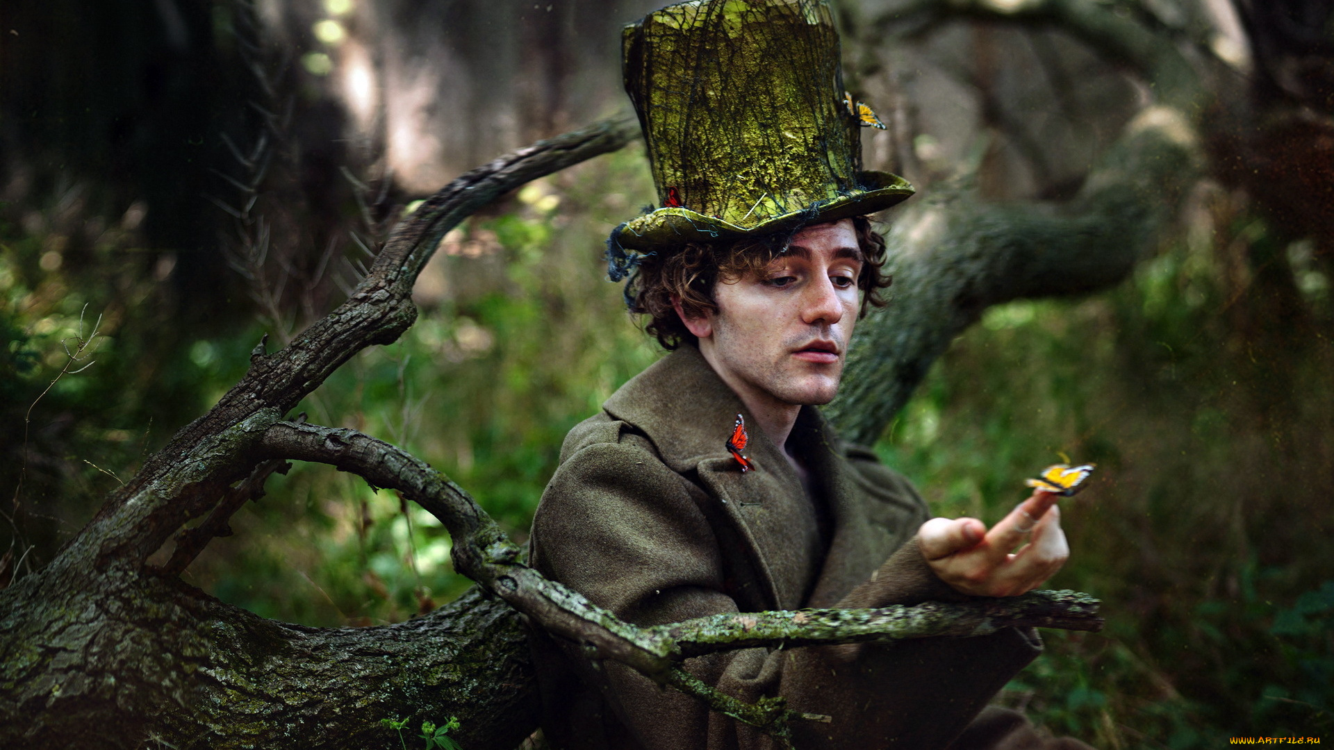 мужчины, unsort, бабочки