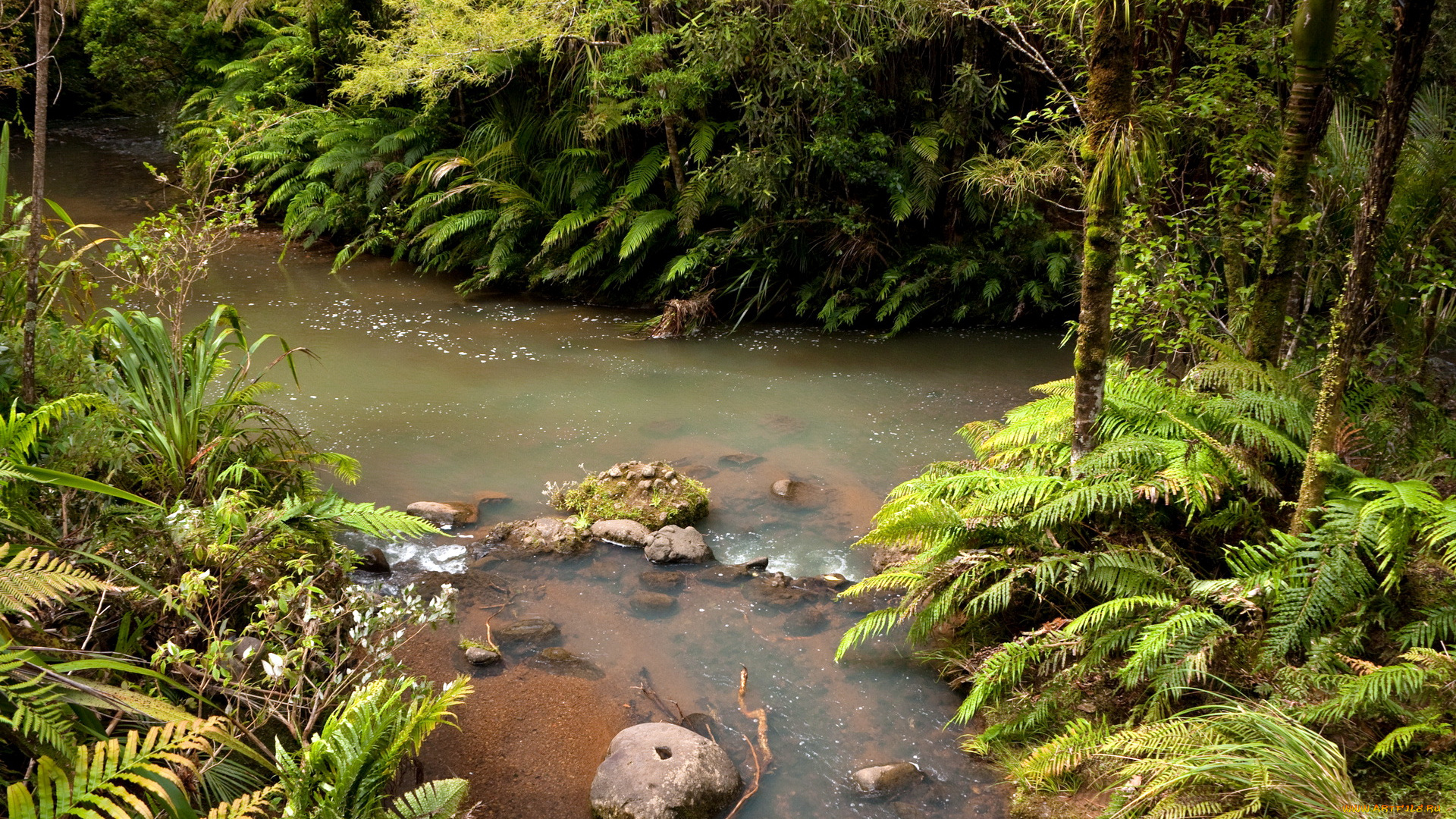 new, zealand, природа, реки, озера, тропики, река