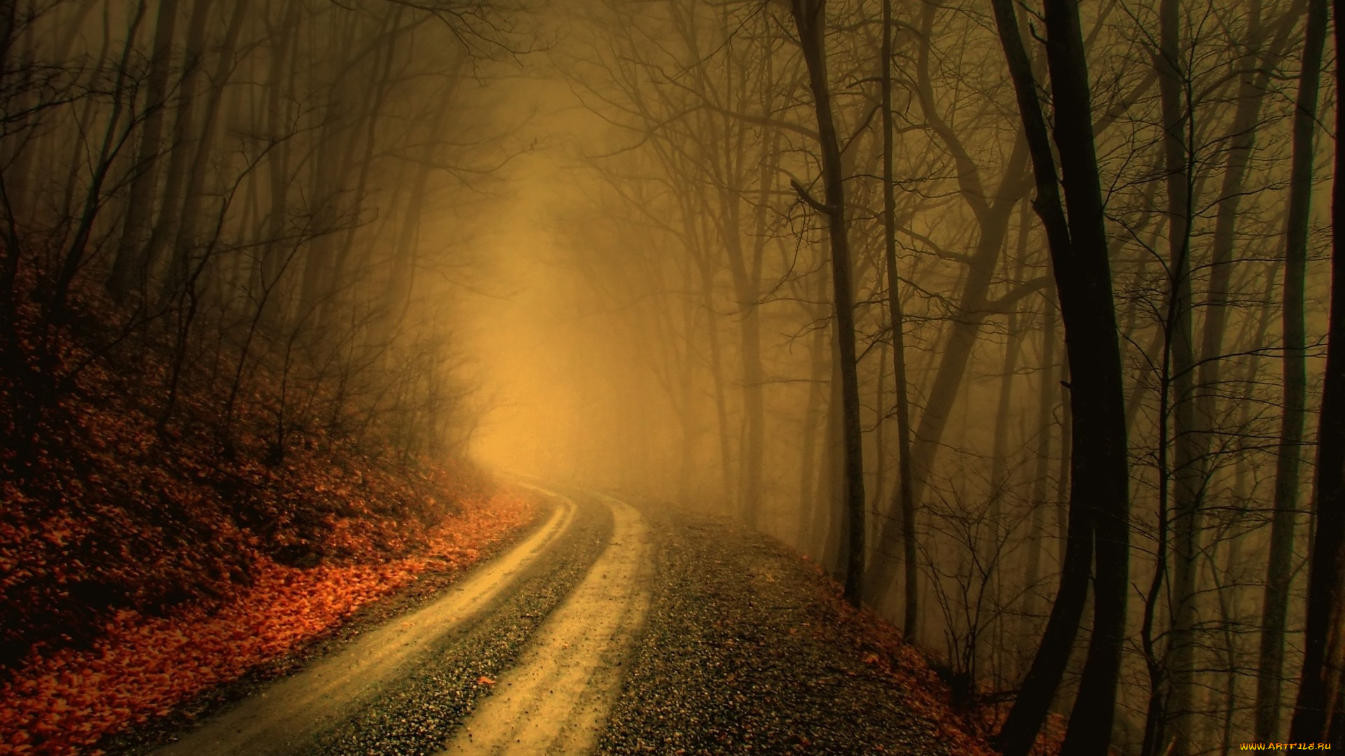 природа, дороги, дорога, туман, деревья