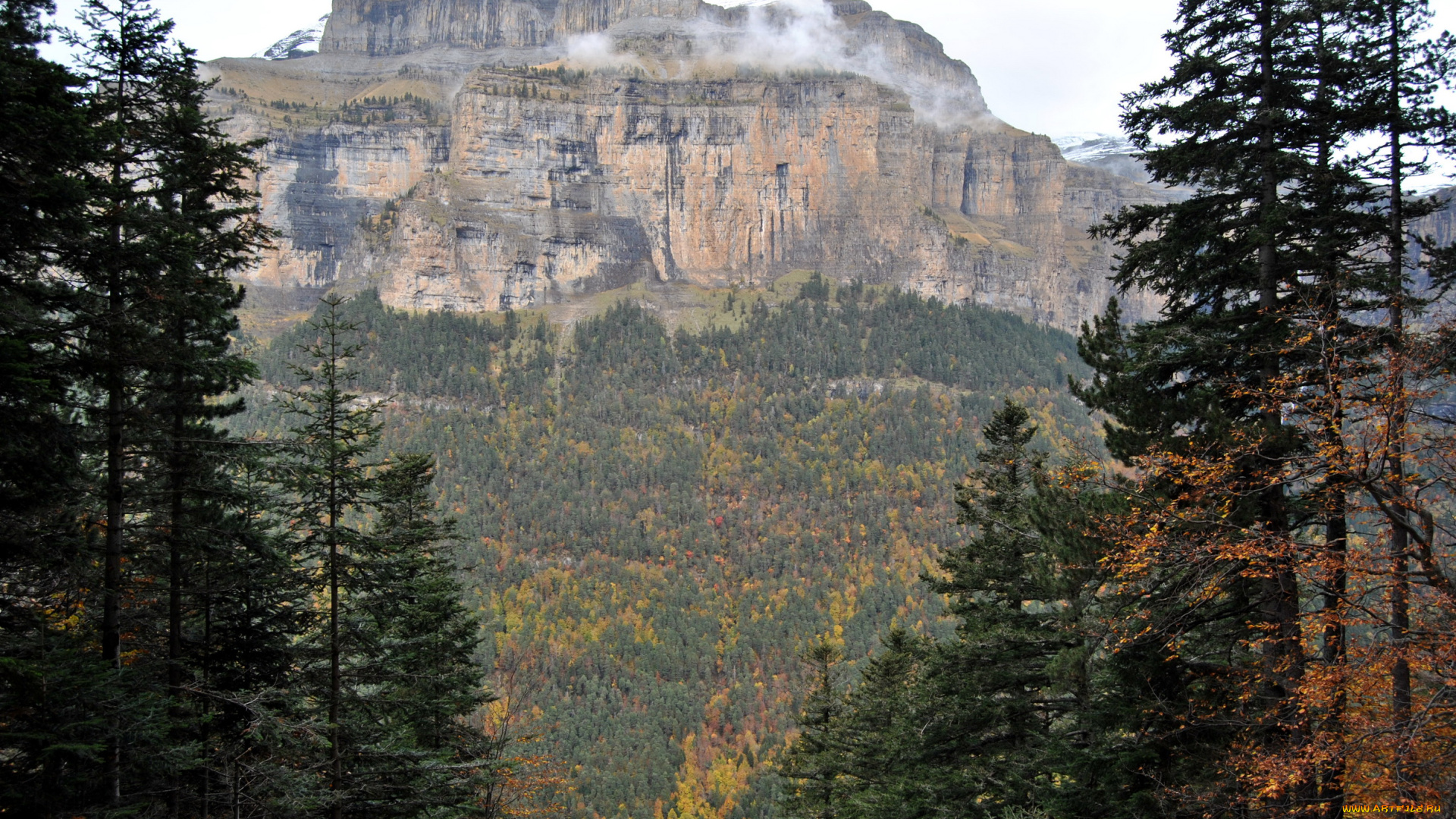 природа, горы, простор, тайга