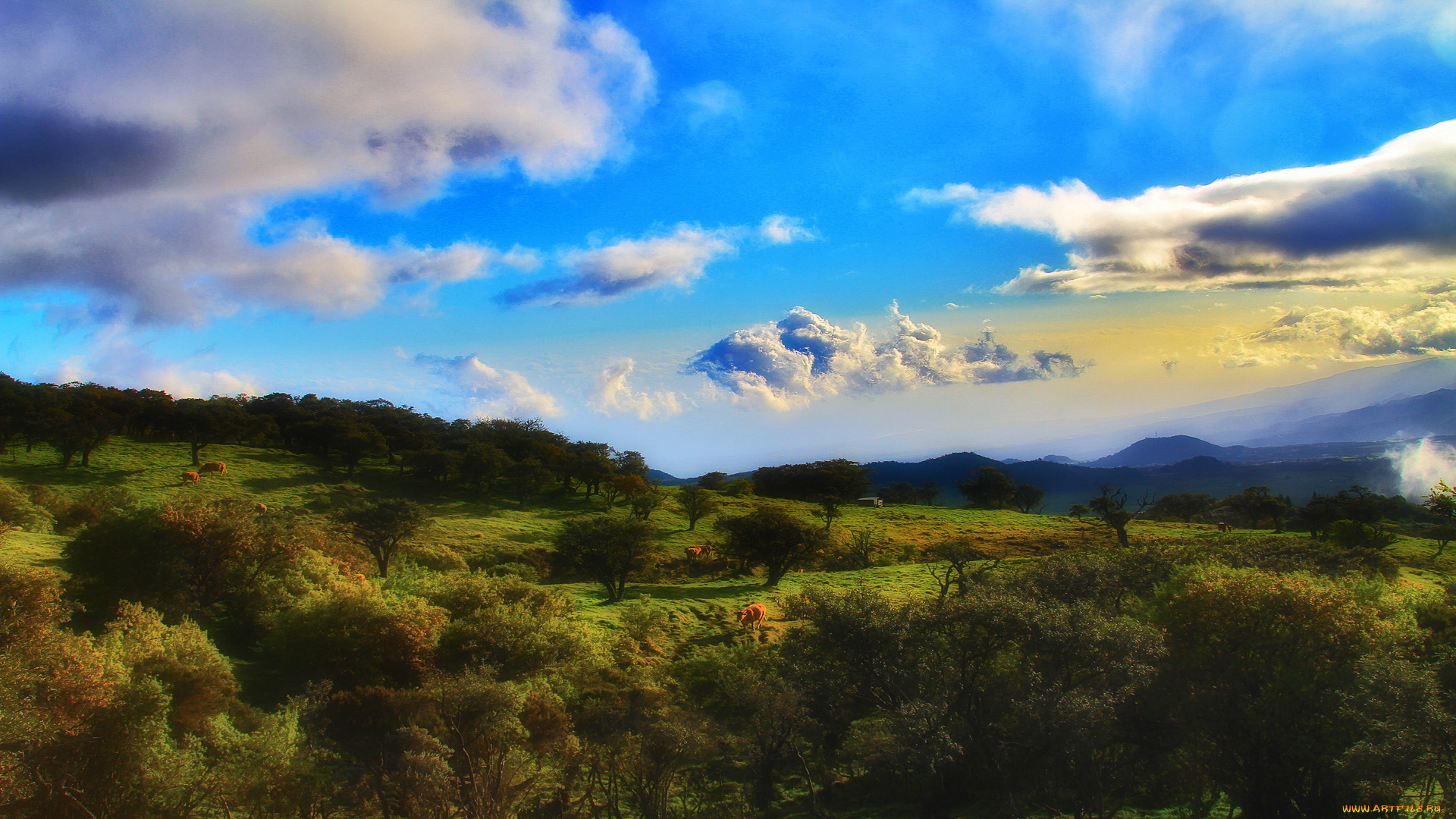 природа, пейзажи, горы, деревья, трава, животные