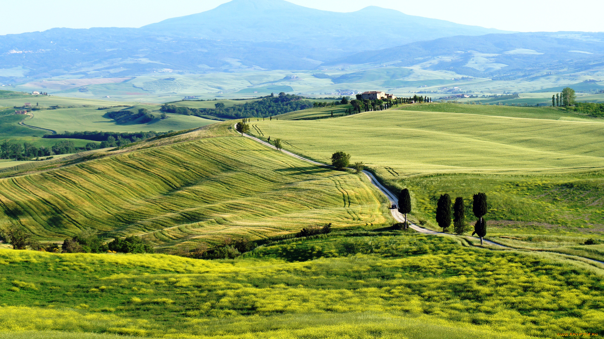 природа, поля, италия, пьенца, тоскана