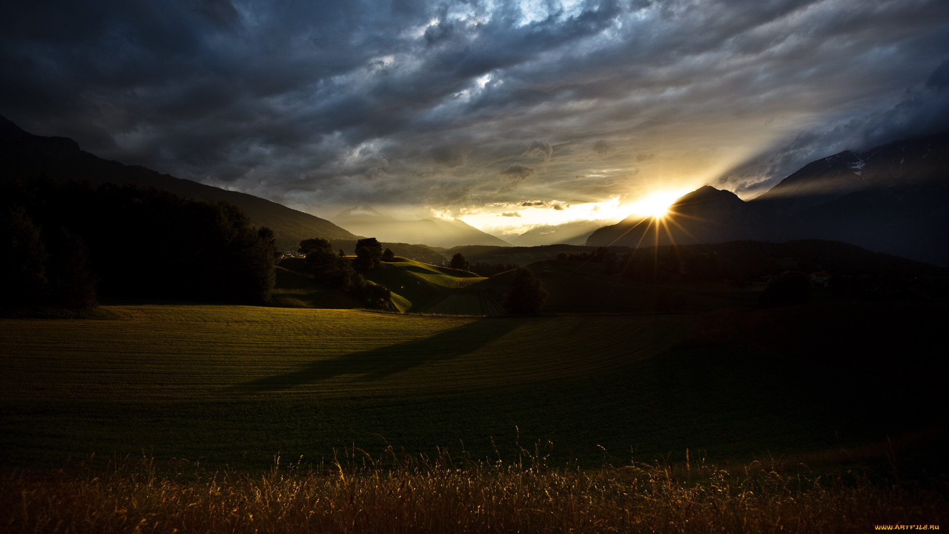 природа, поля, поле, трава, холмы, вечер, закат