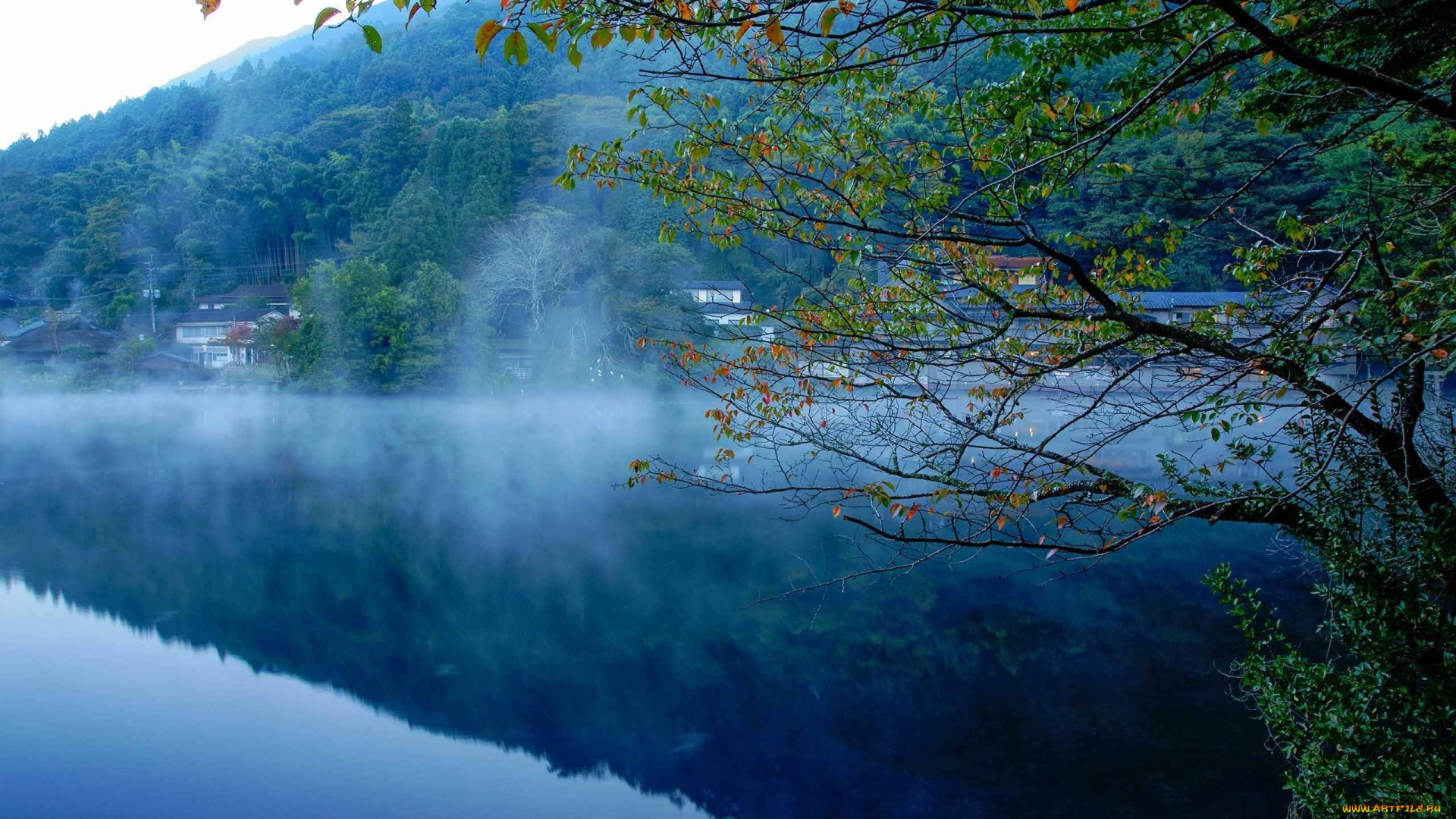 природа, реки, озера, река, лес, туман, дома