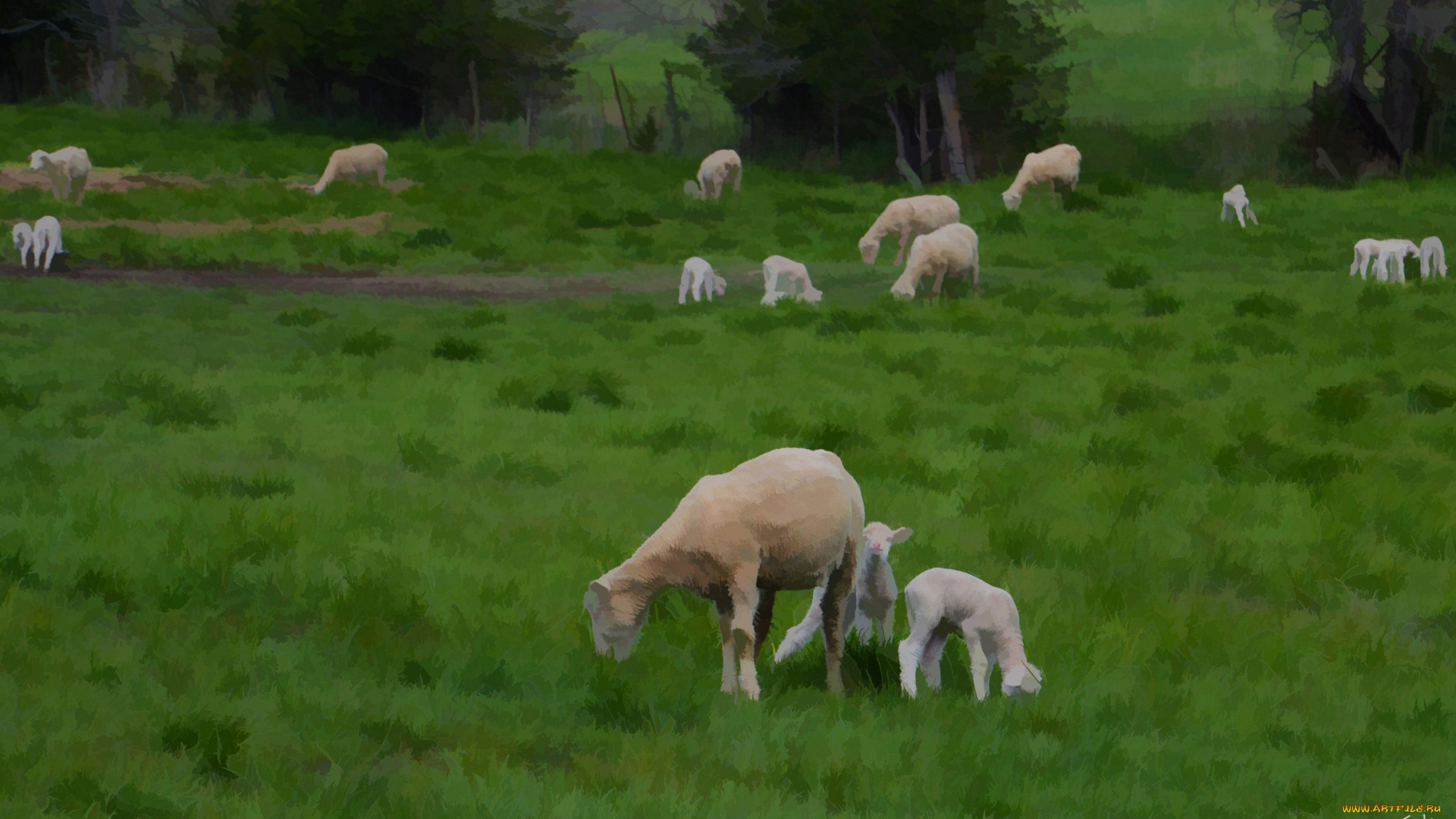 рисованные, животные, трава, овечки