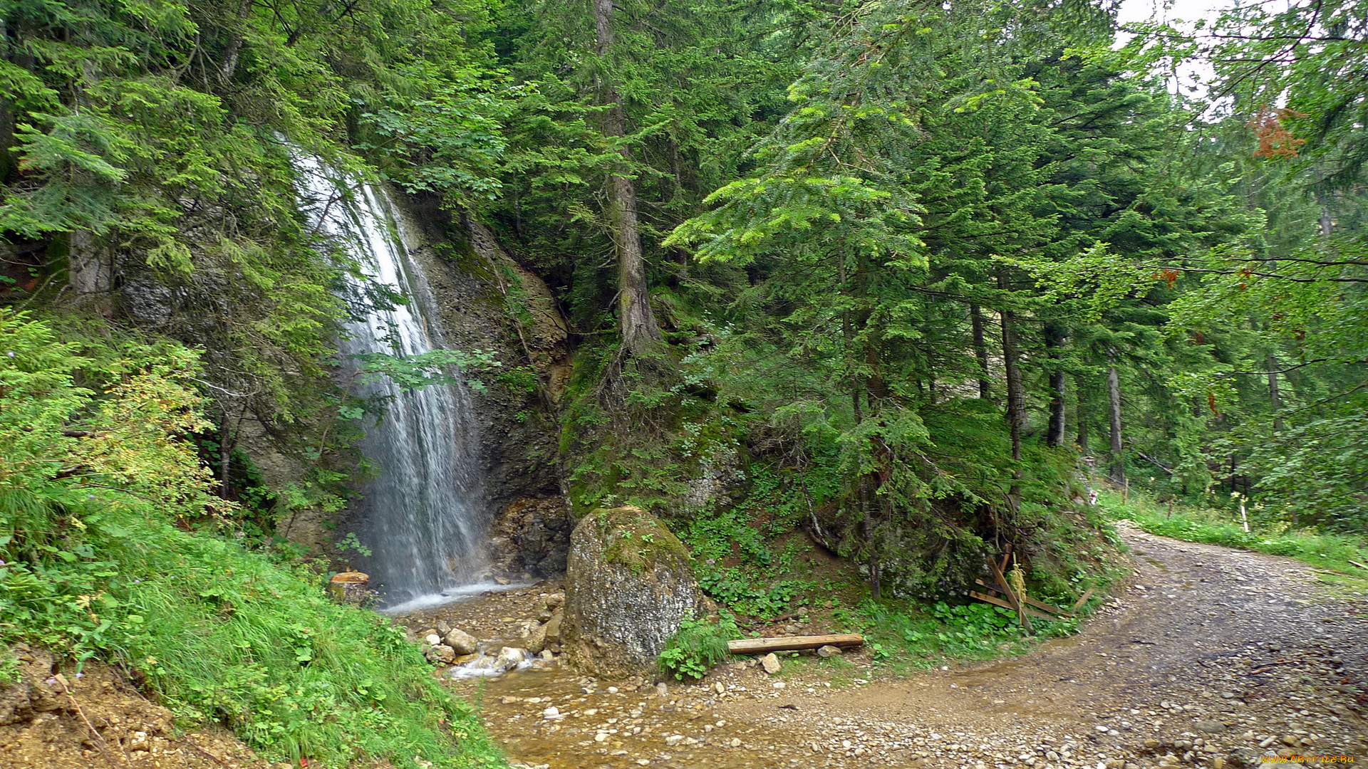switzerland, природа, водопады, водопад