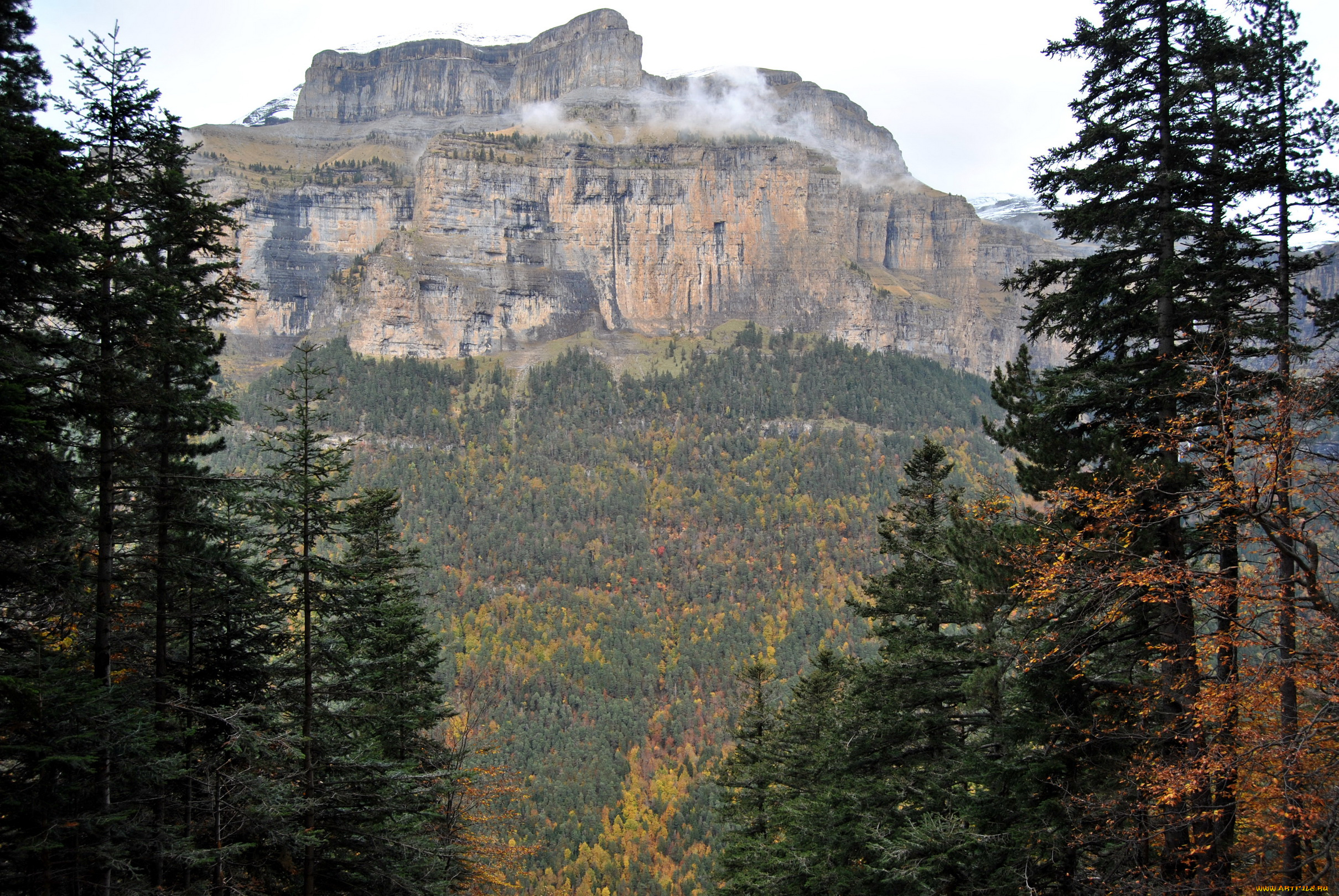 природа, горы, простор, тайга