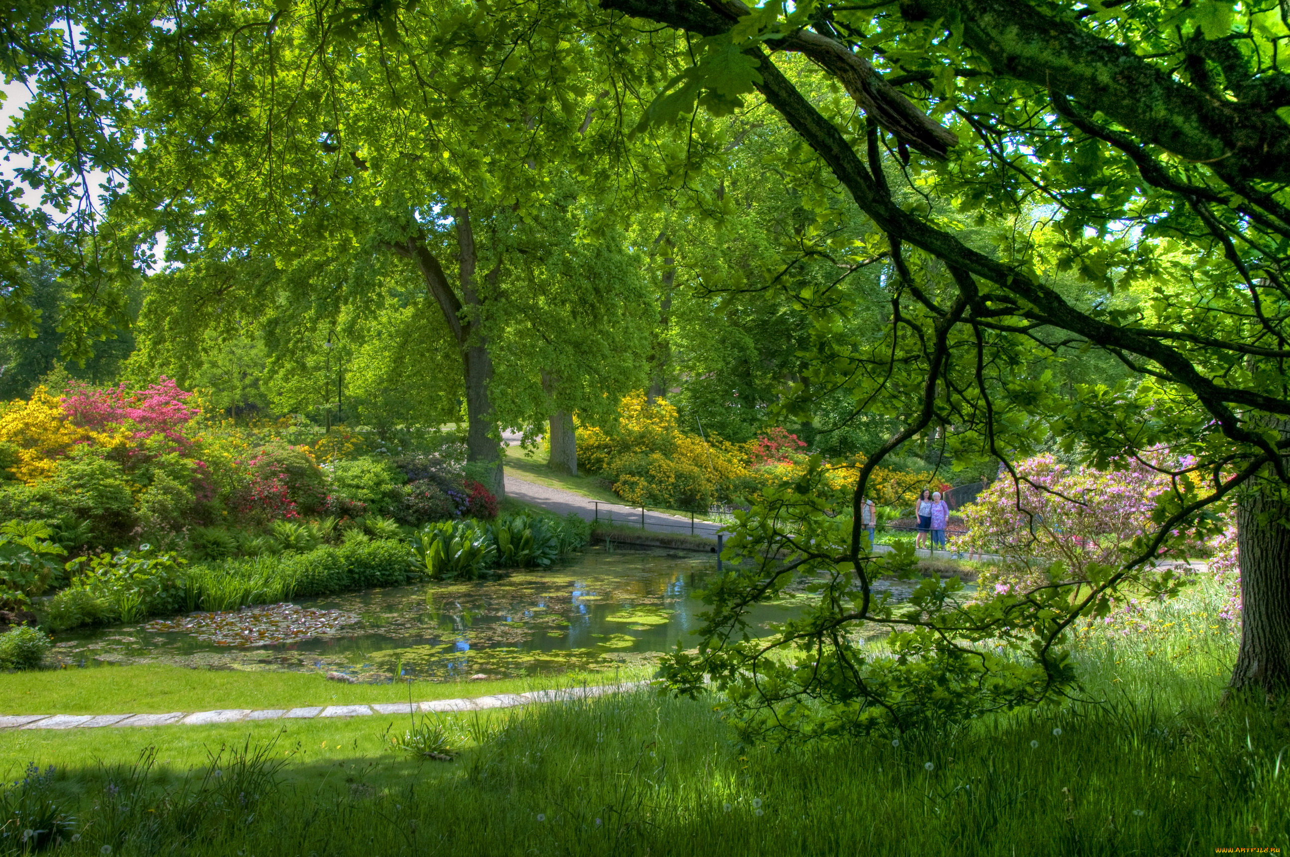 gardens, of, sofiero, castle, helsingborg, sweden, природа, парк