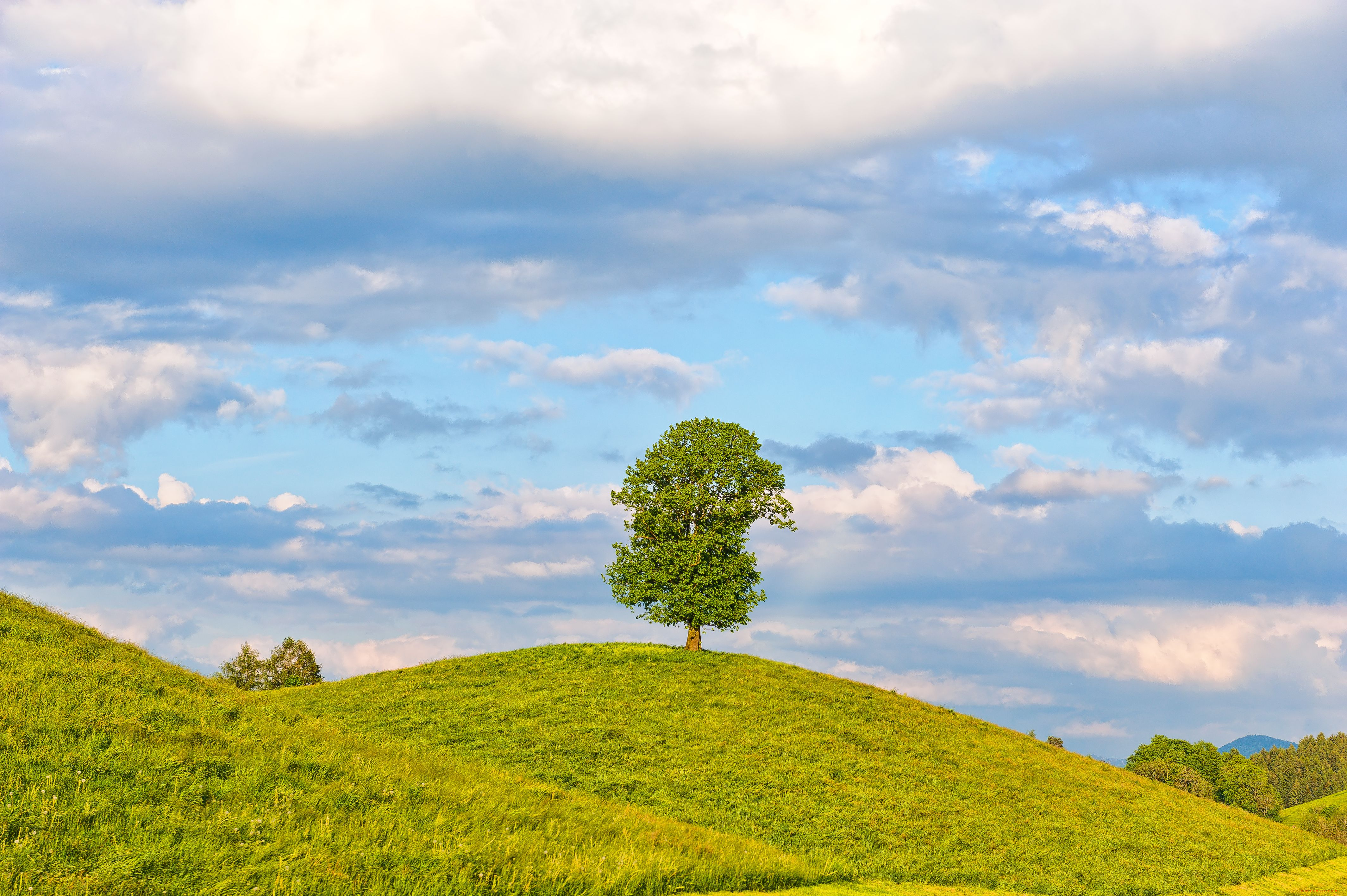природа, деревья, швейцария, облака, луг, дерево, switzerland