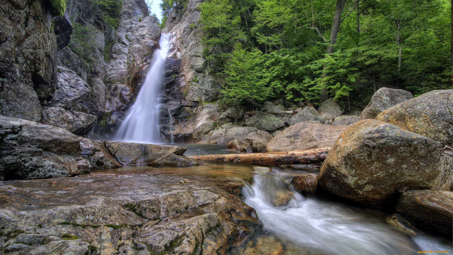 glen, ellis, falls, new, hampshire, usа, природа, водопады, водопад, лес