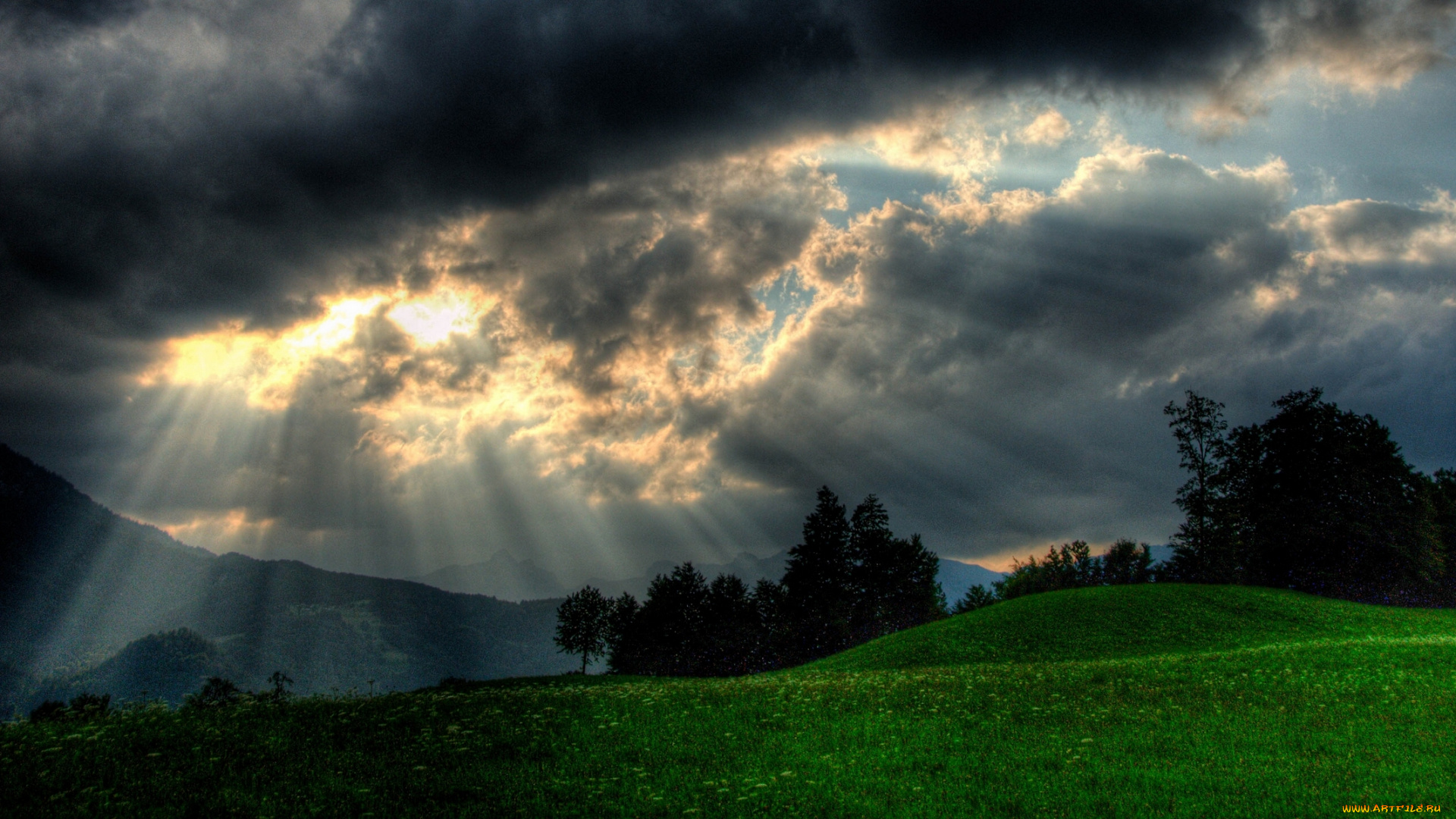 природа, луга, деревья, тучи, лучи, облака