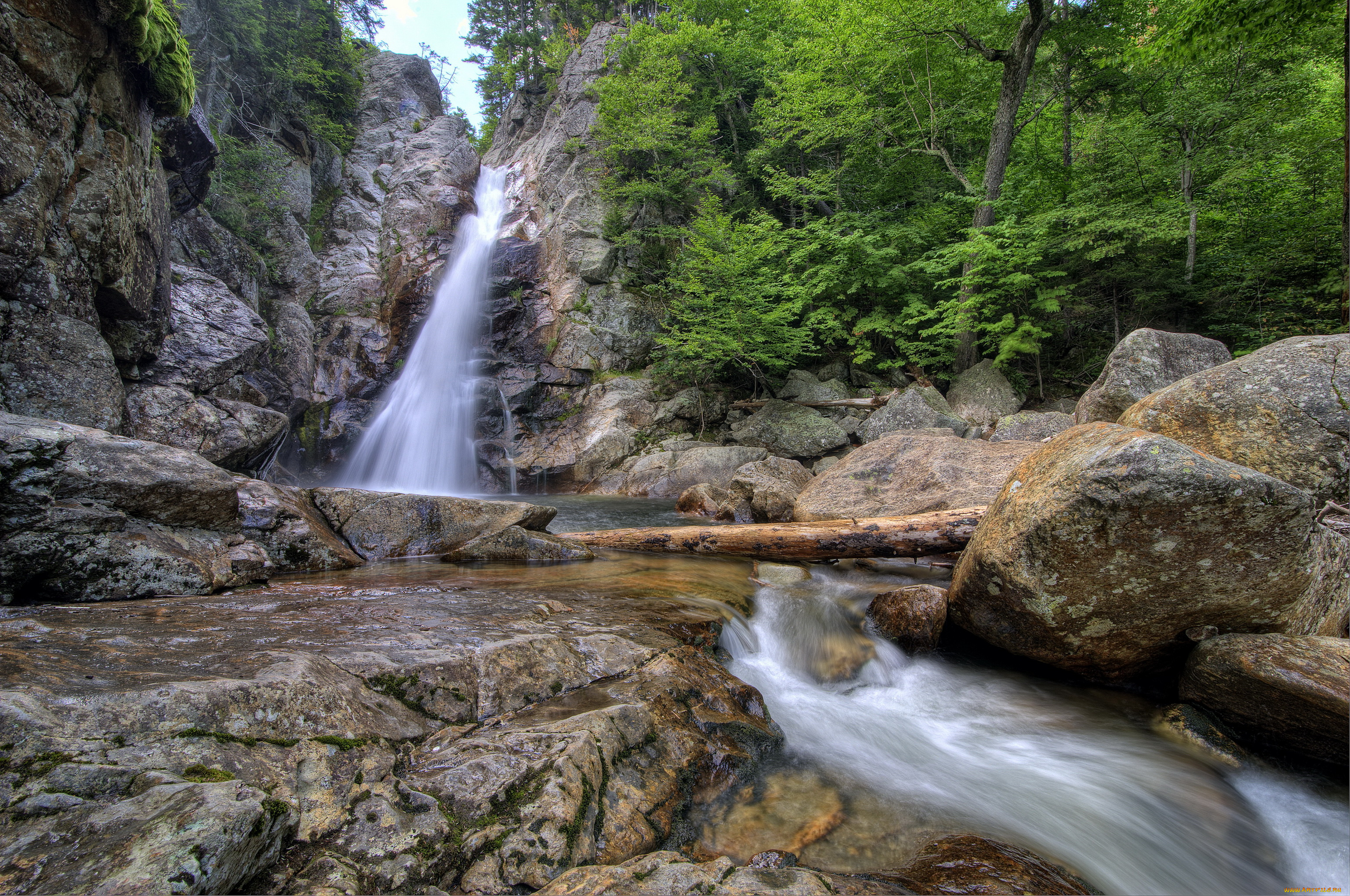 glen, ellis, falls, new, hampshire, usа, природа, водопады, водопад, лес