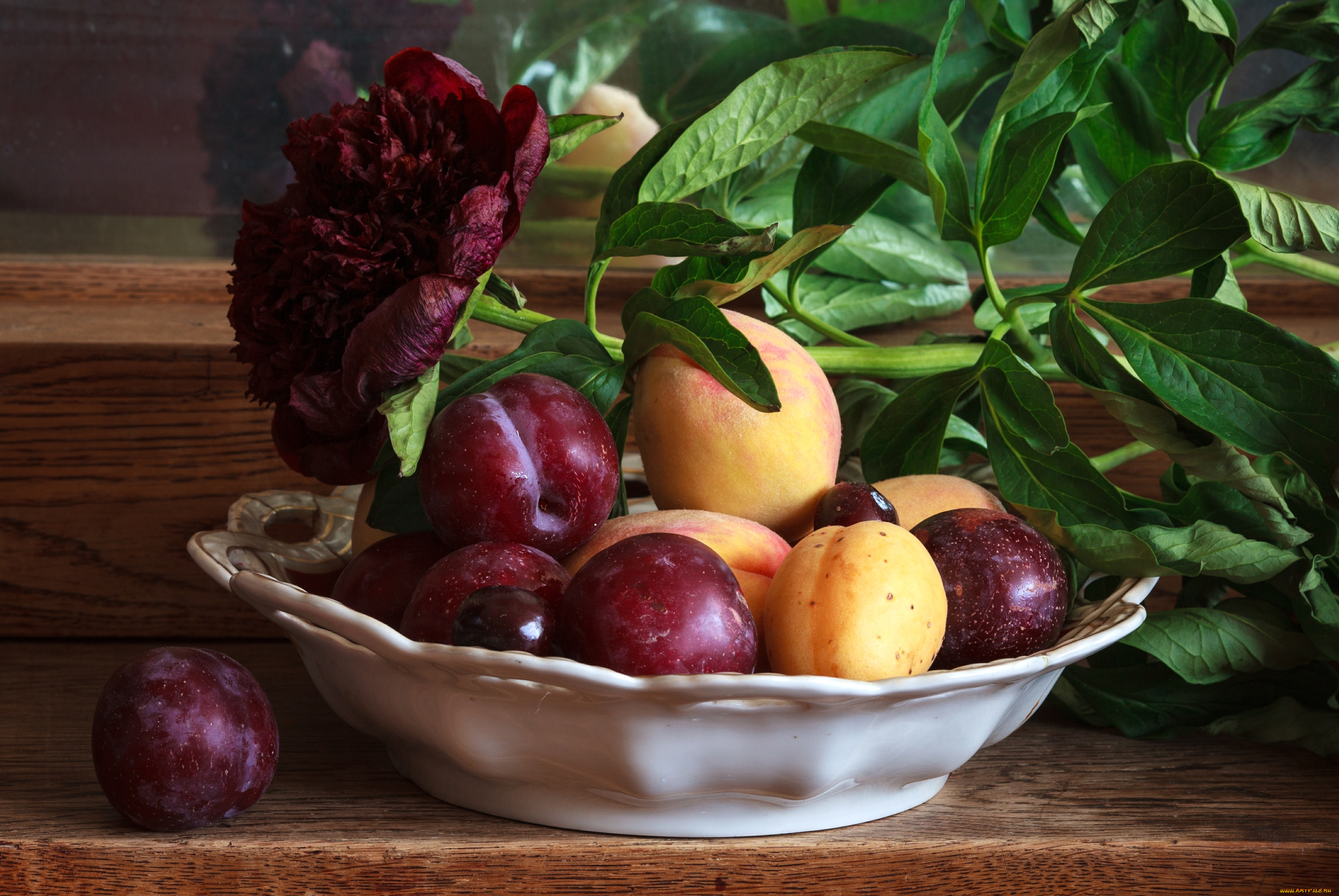 еда, персики, сливы, абрикосы, тарелка, пион