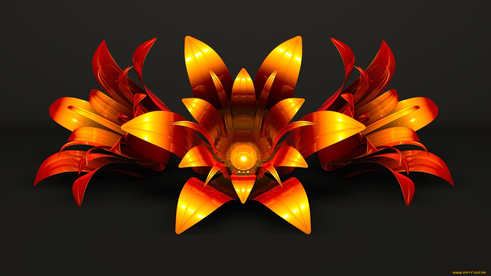 3д, графика, цветы, , flowers, узор, фон, цвета