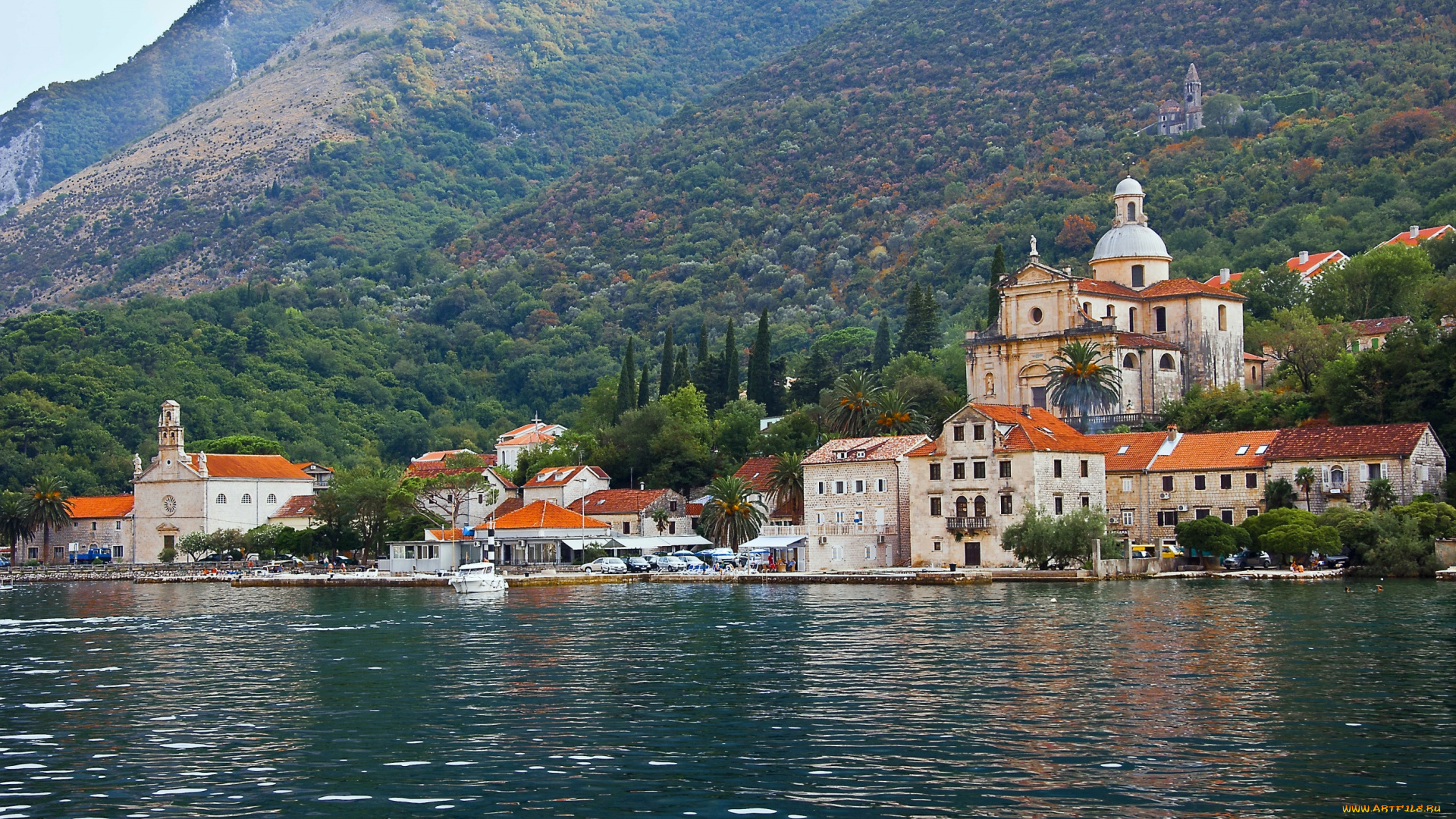 котор, , Черногория, города, -, пейзажи, дома, вода, горы