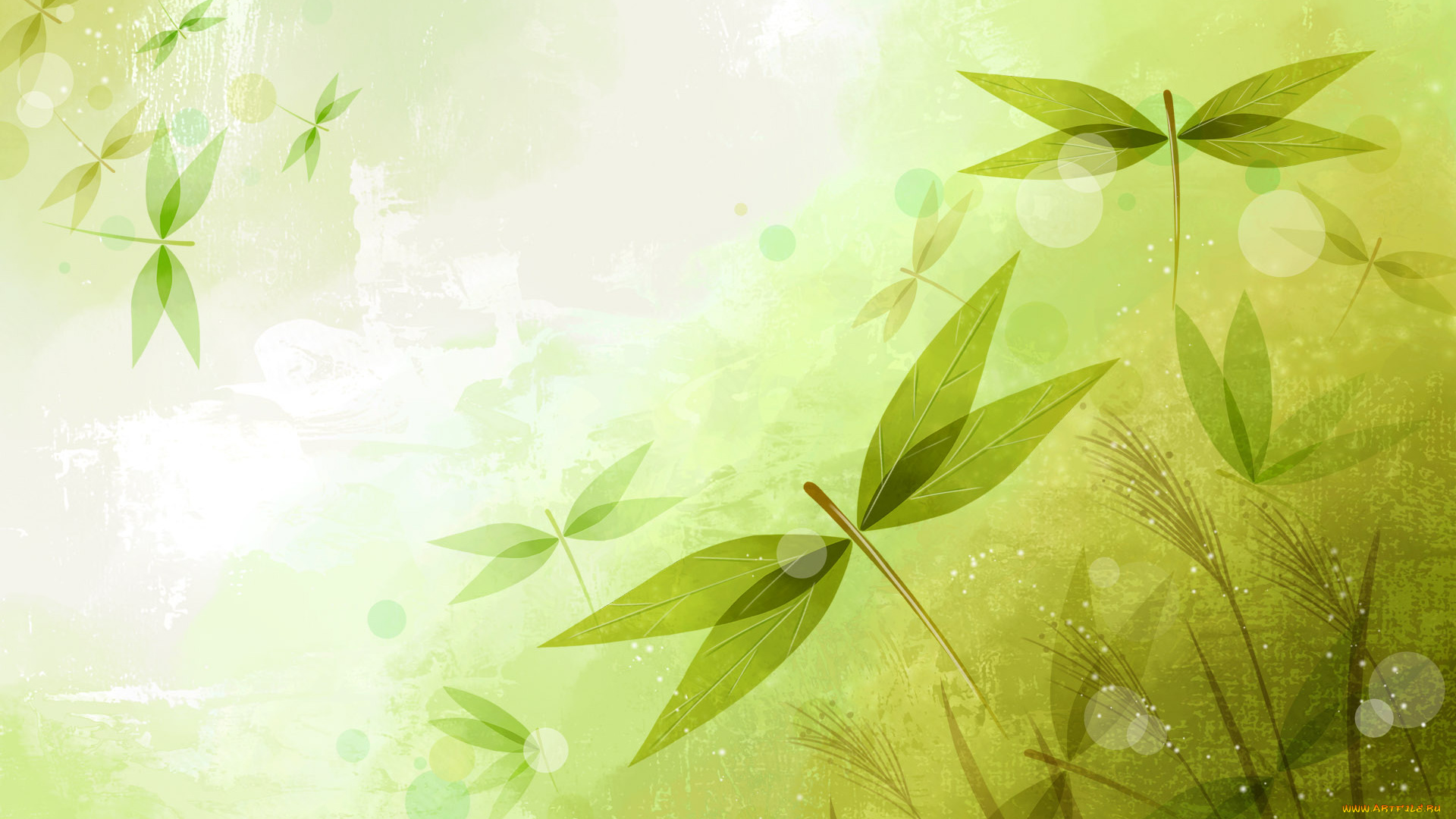 векторная, графика, графика, зеленый