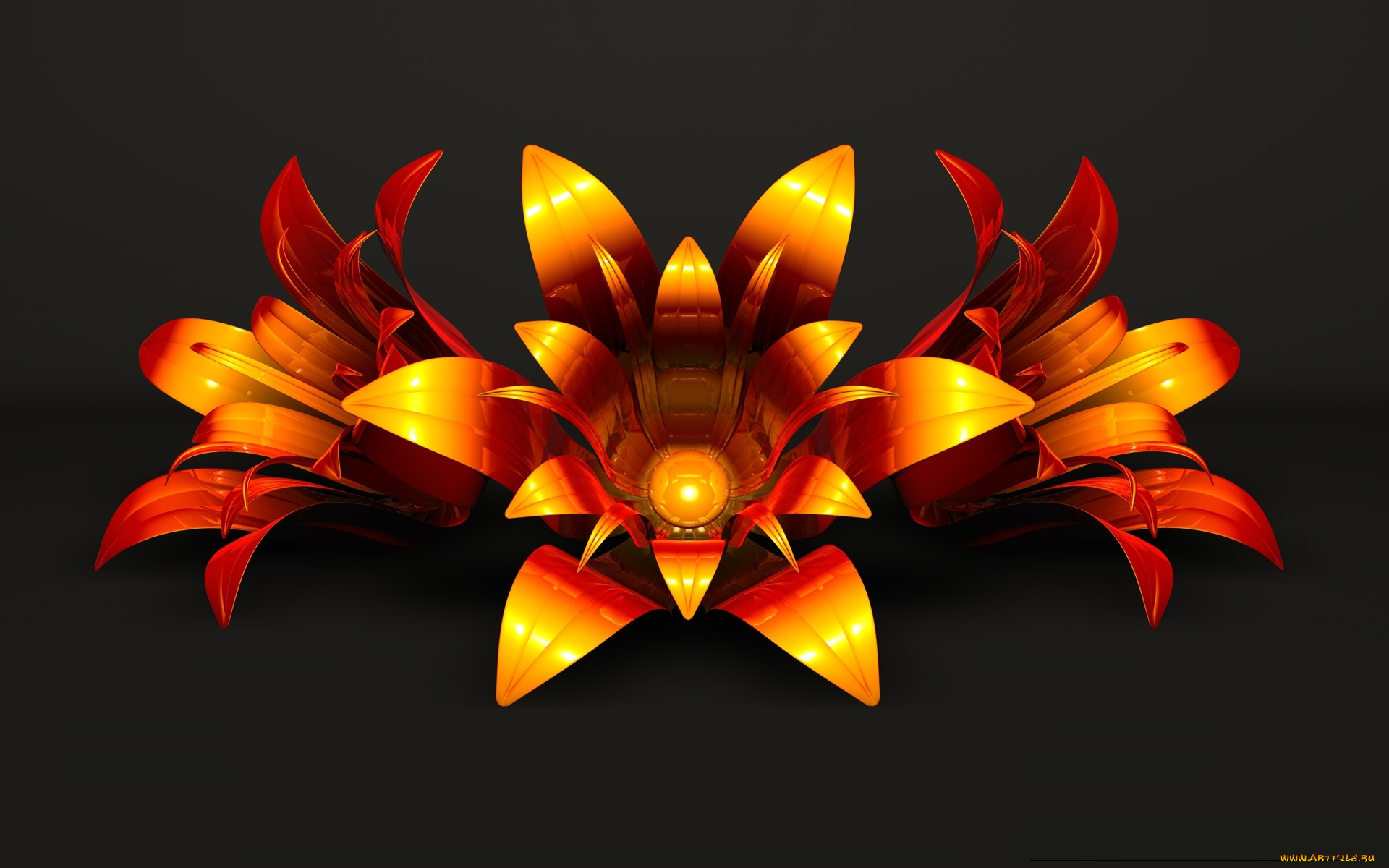 3д, графика, цветы, , flowers, узор, фон, цвета