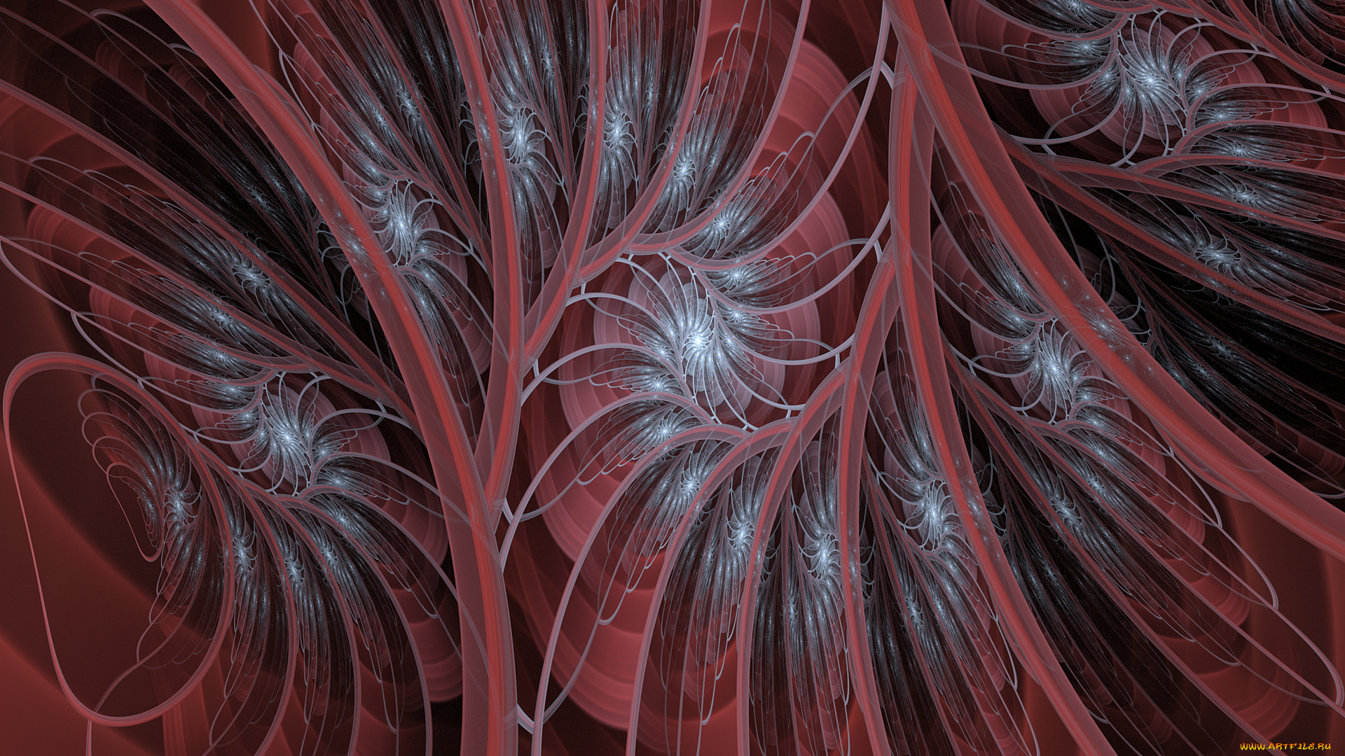 3д, графика, фракталы, , fractal, цвета, узор, фон