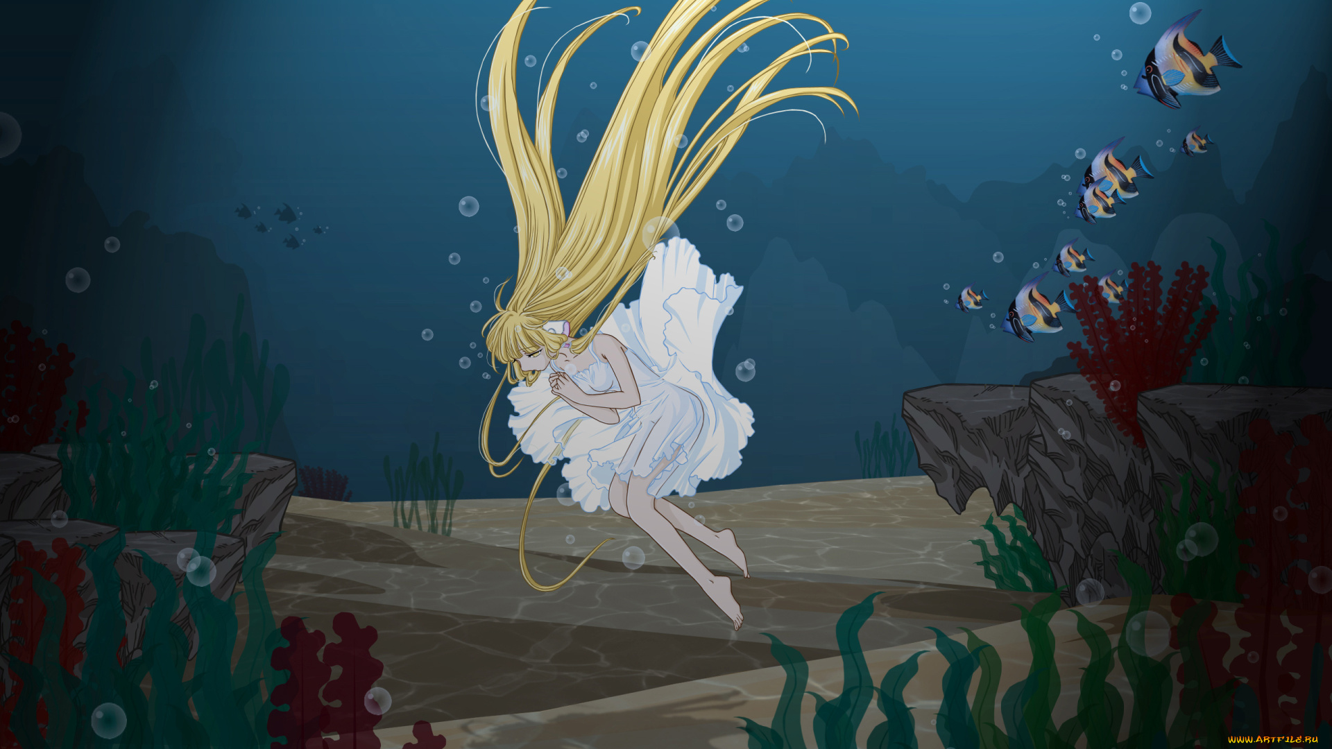 аниме, chobits, девушка, растения, вода, cilou, ушки, платье, chii, водоросли, дно, песок, камни, рыба, пузыри