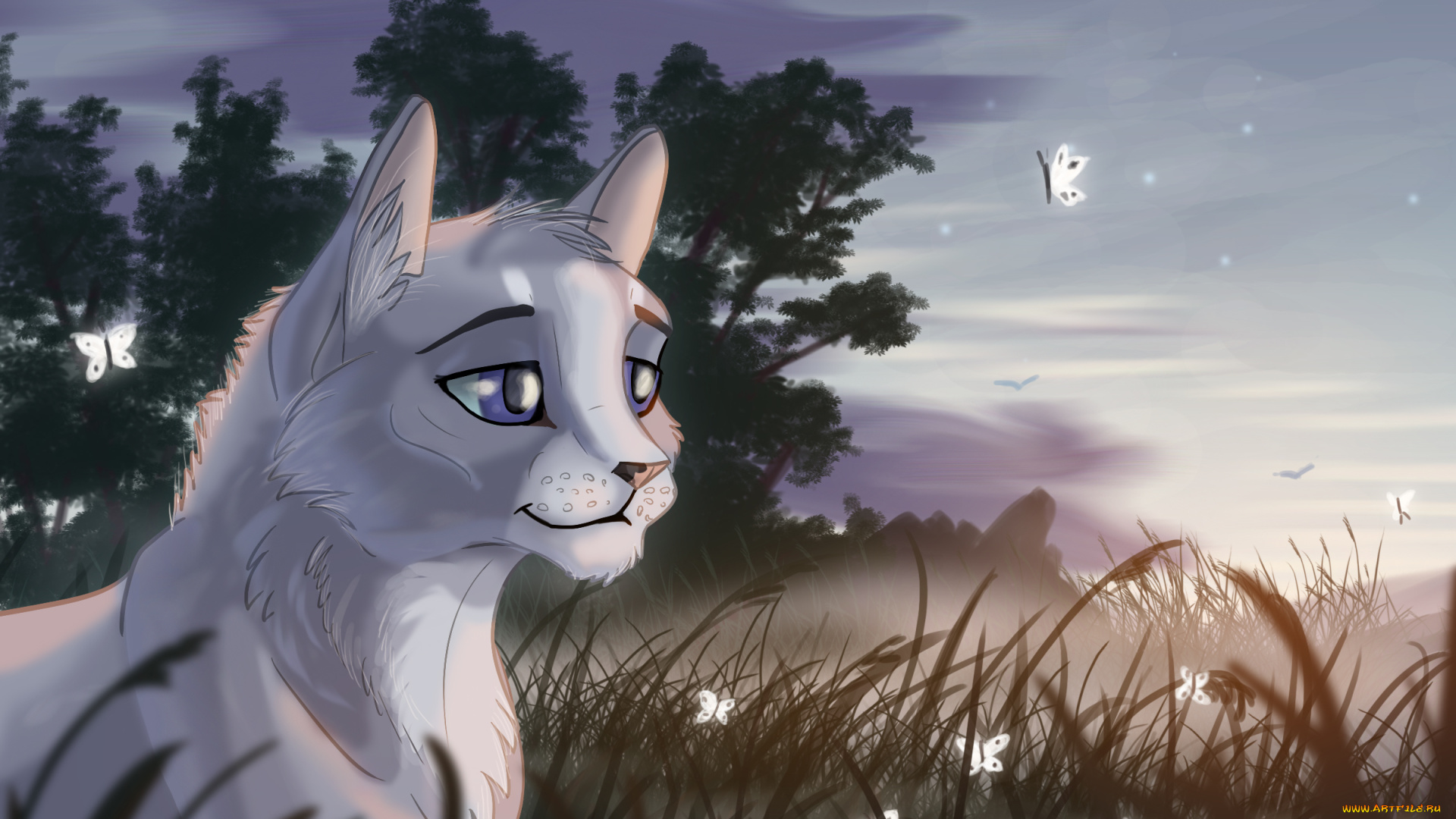 рисованное, животные, , коты, бабочки, фон, взгляд, кот