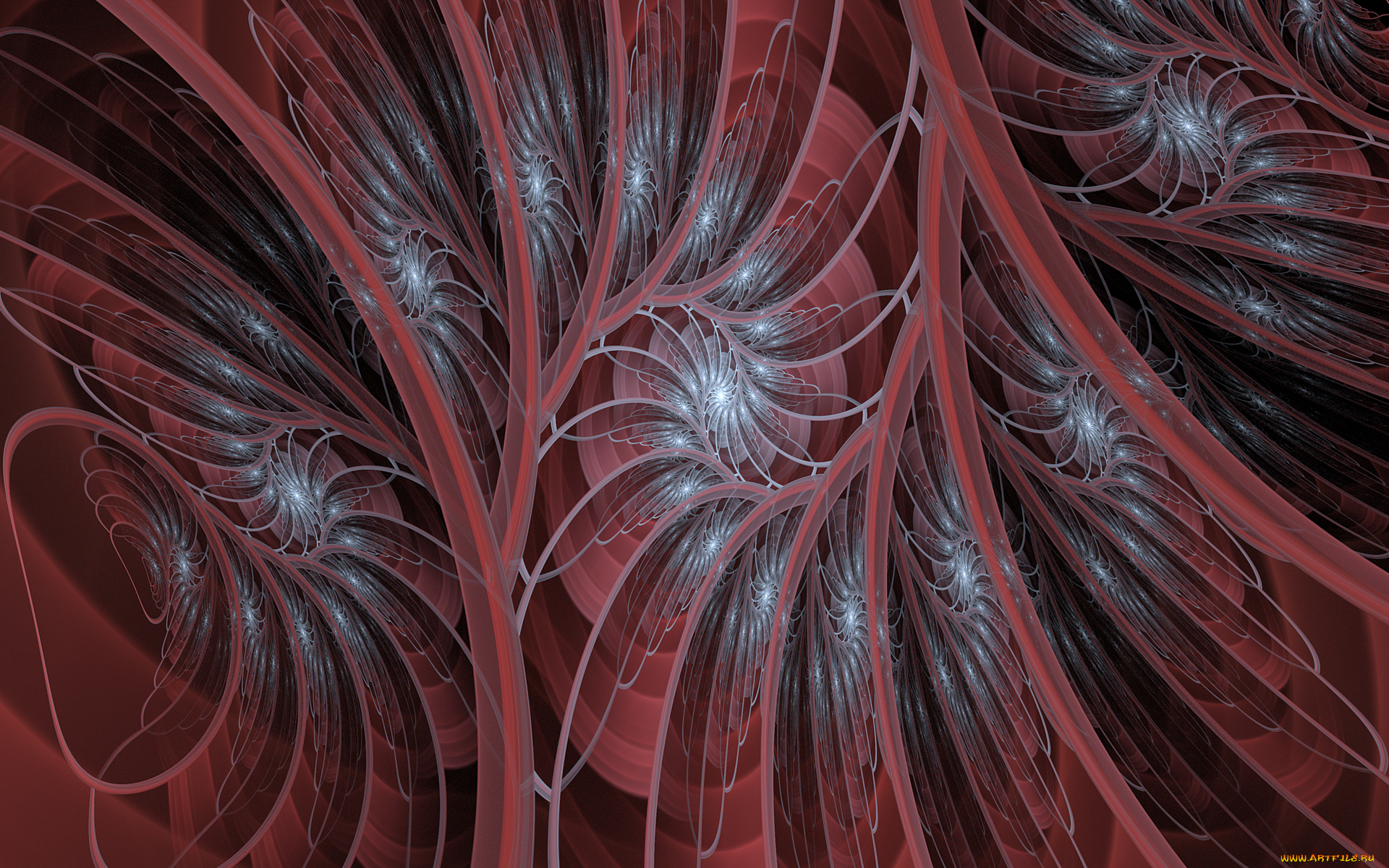 3д, графика, фракталы, , fractal, цвета, узор, фон