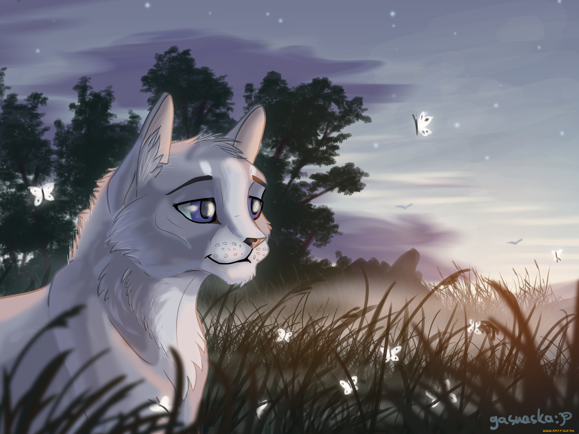 рисованное, животные, , коты, бабочки, фон, взгляд, кот