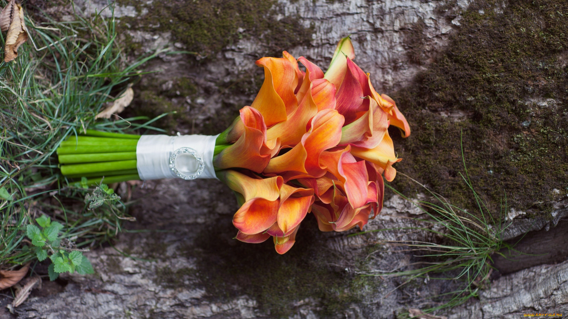 цветы, каллы, букет, украшение