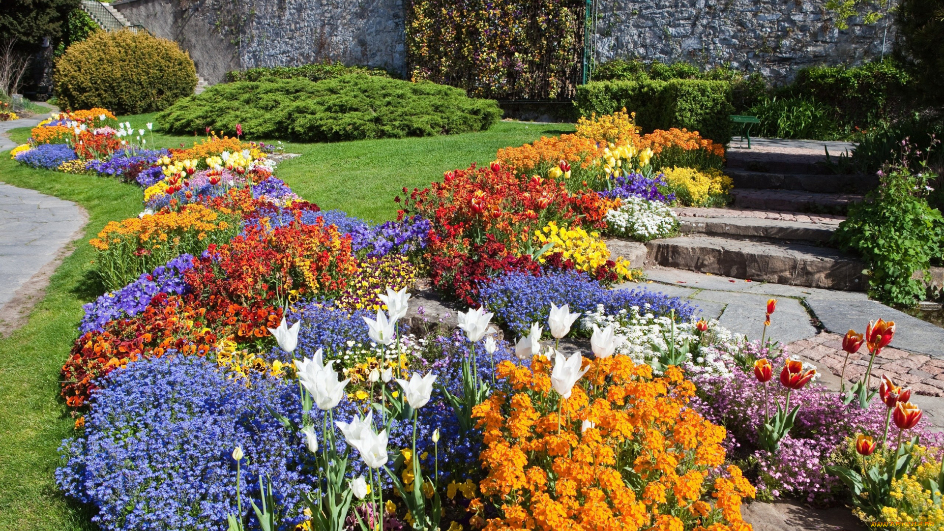 цветы, разные, вместе, клумбы