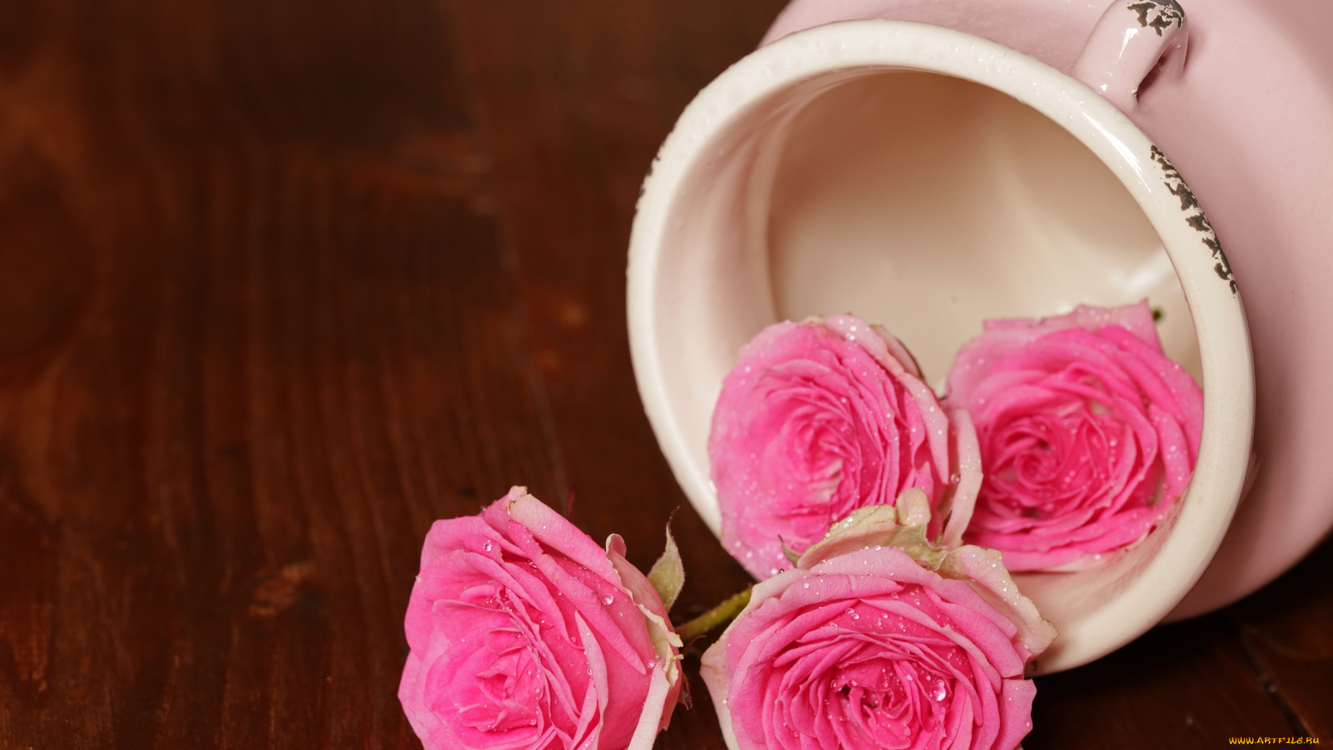 цветы, розы