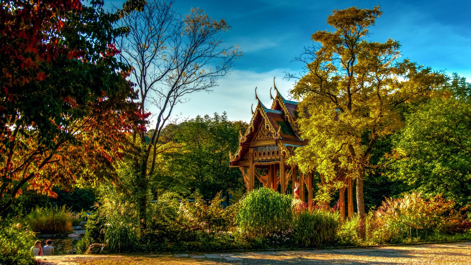 природа, парк, осень, германия, munich, пруд, солнечно, бавария, кусты, sendling-westpark, пагода, деревья