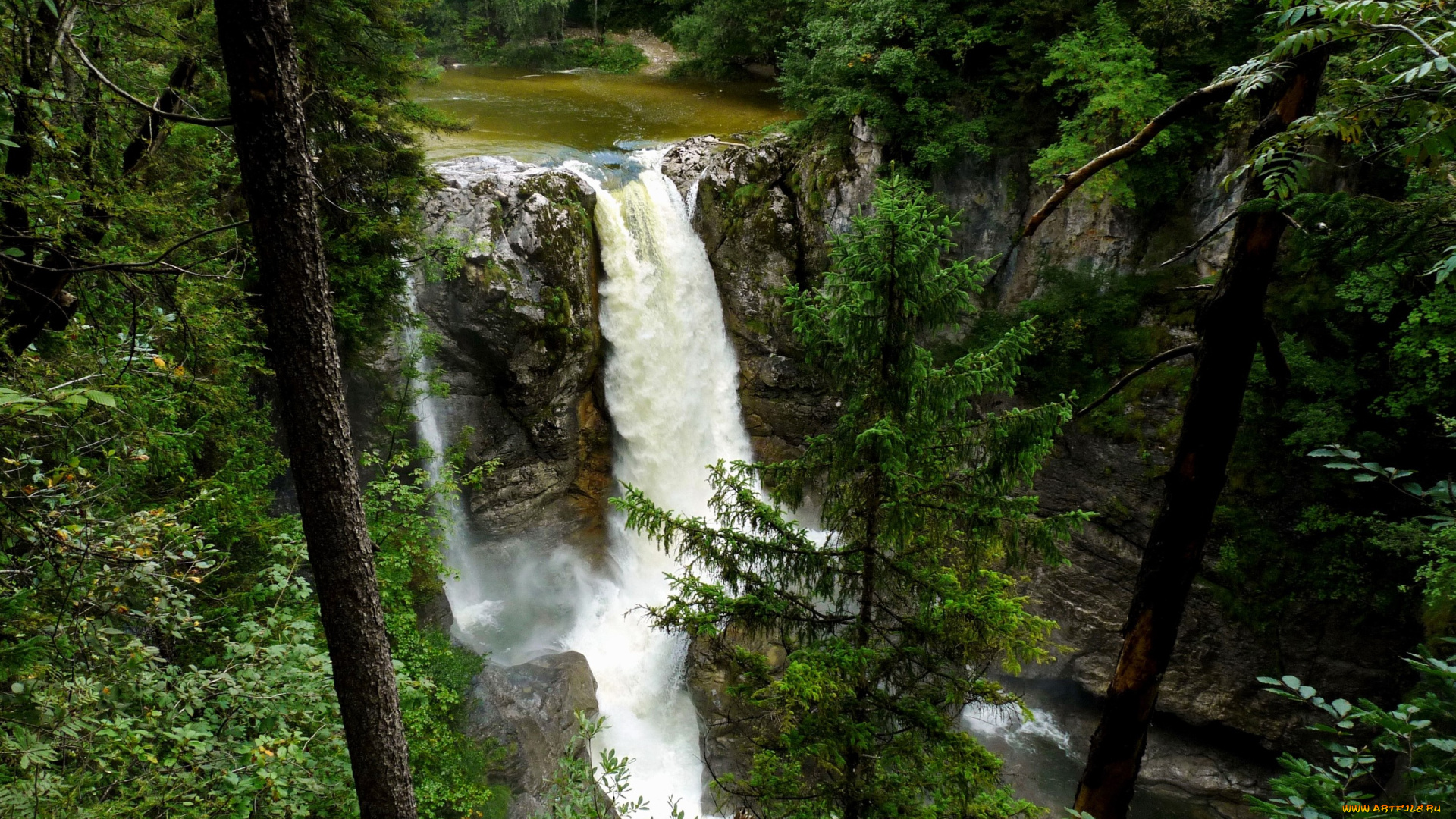 природа, водопады, поток, скала, лес