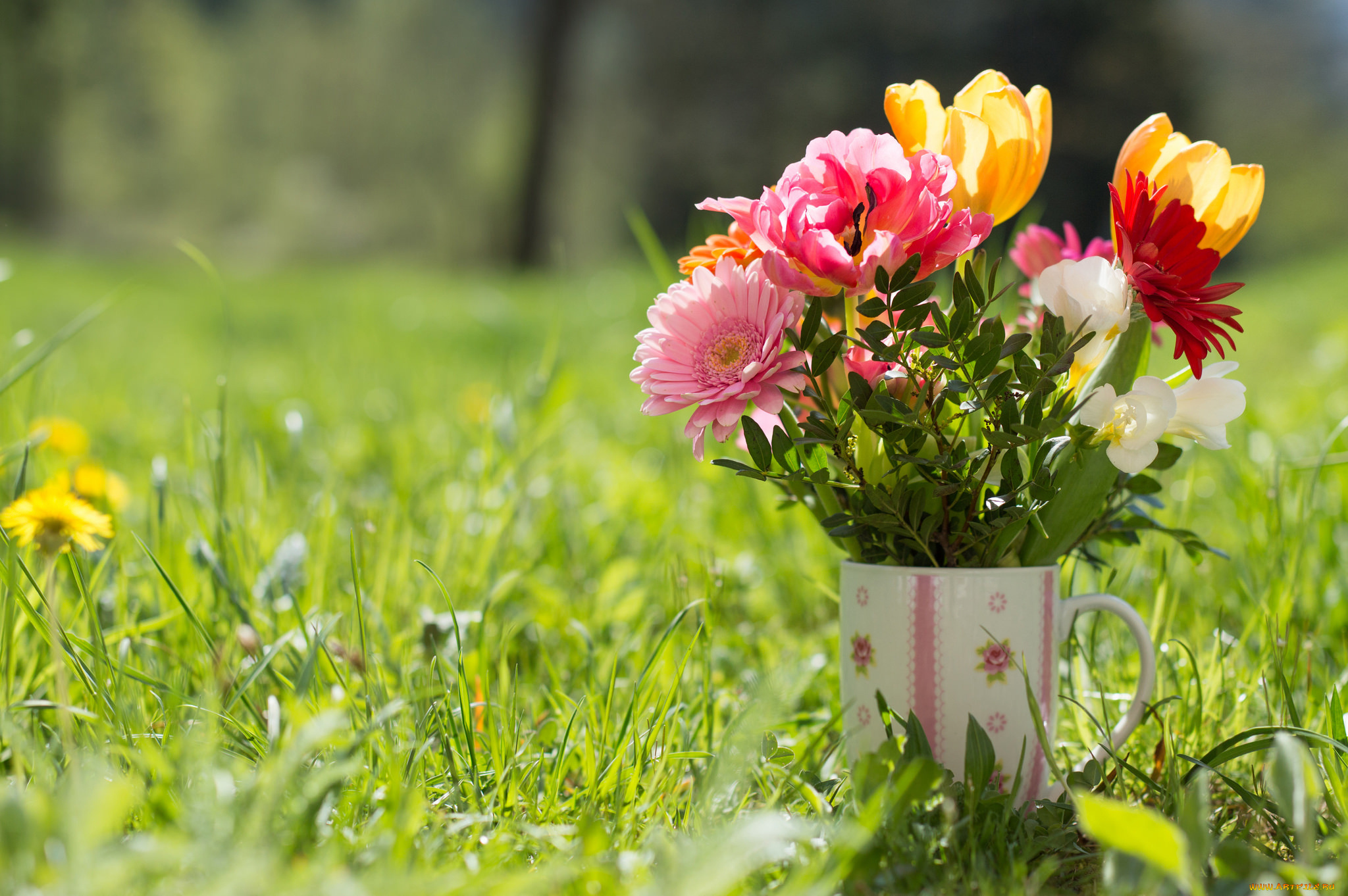 цветы, букеты, , композиции, букет