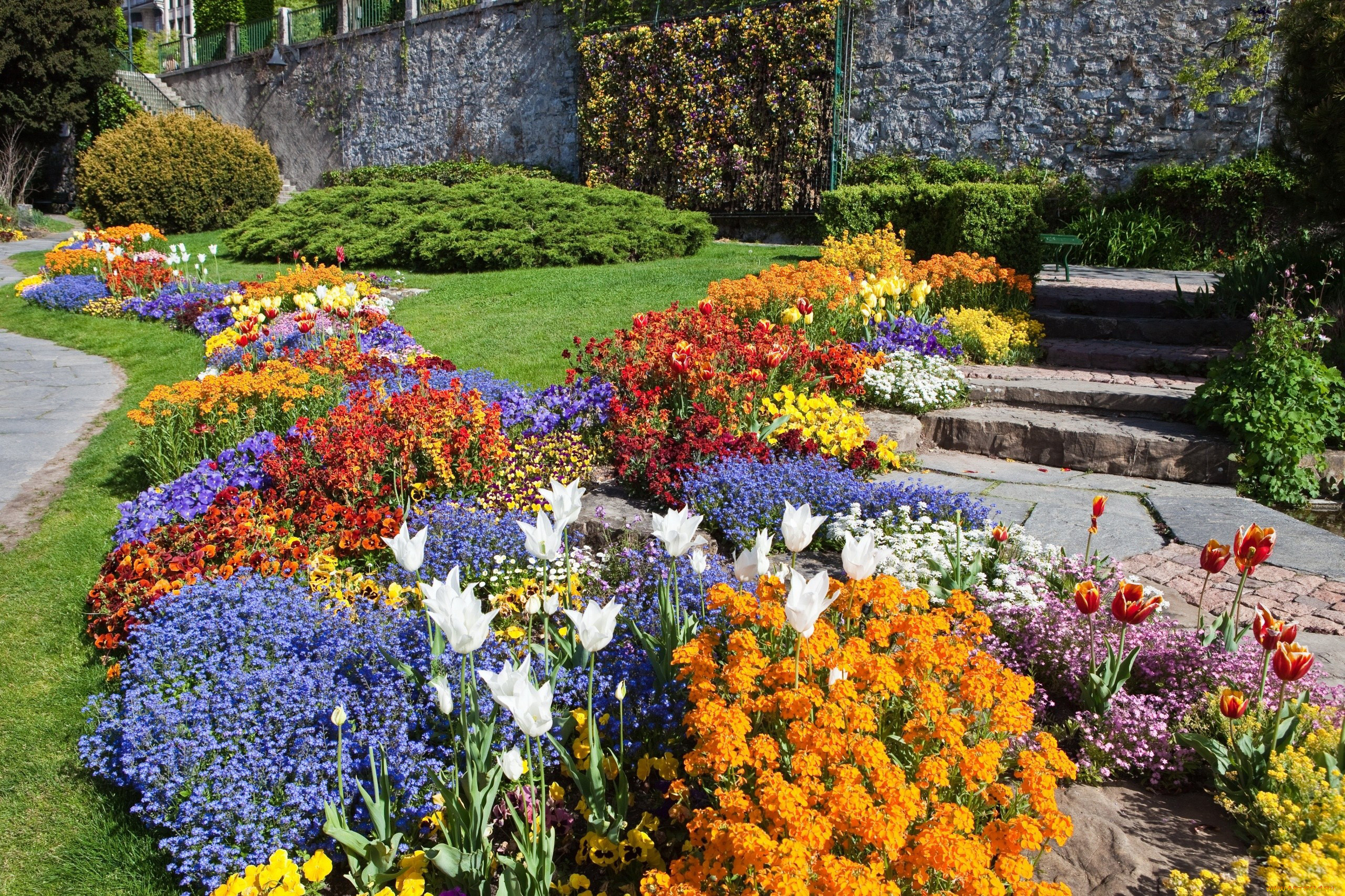 цветы, разные, вместе, клумбы