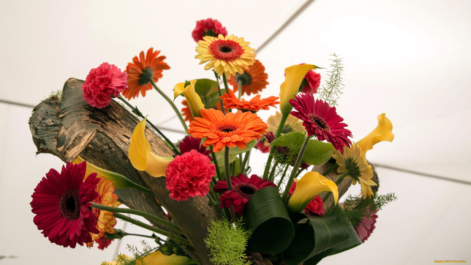 цветы, букеты, , композиции, герберы, гвоздики, каллы