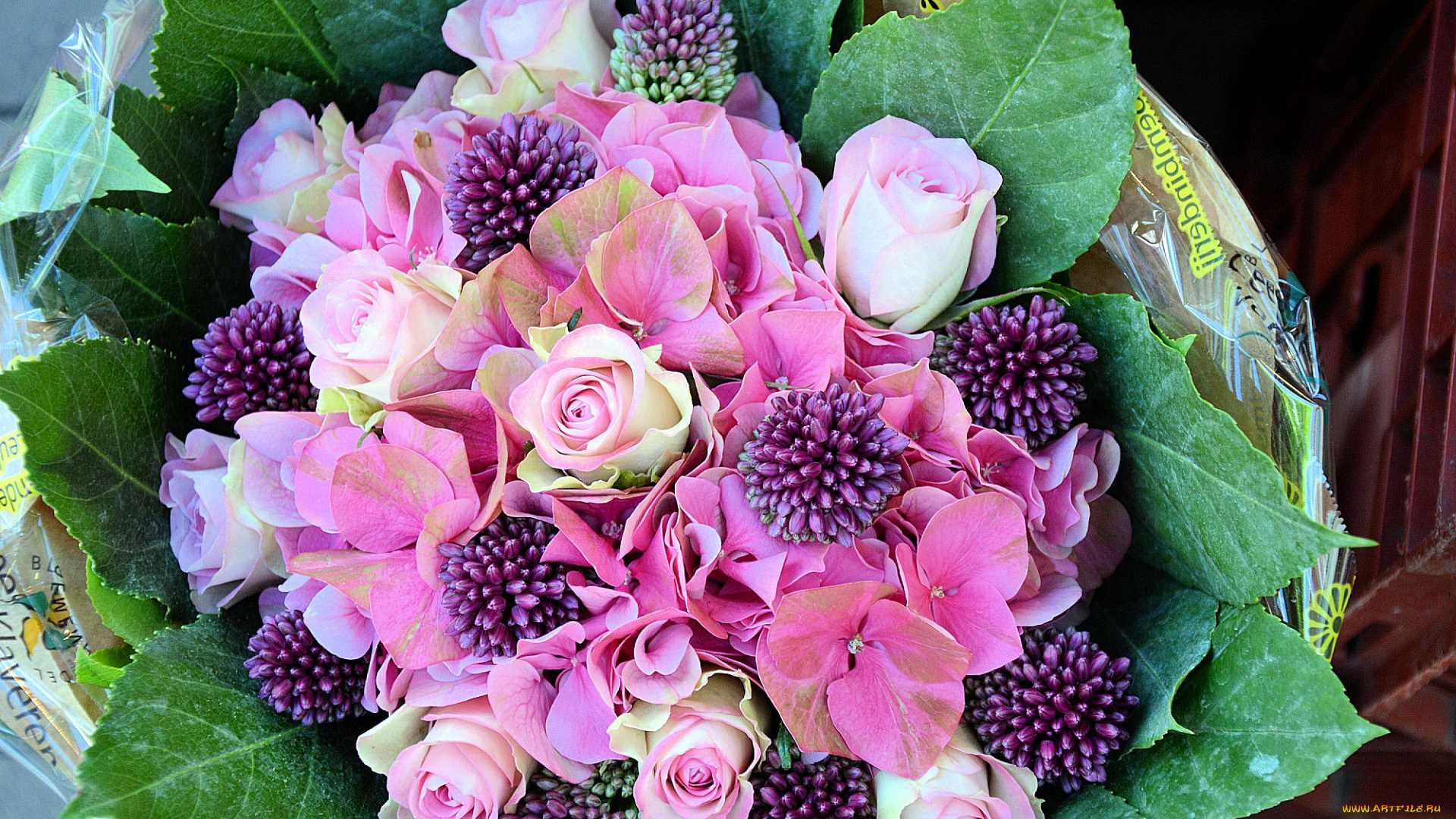 цветы, букеты, , композиции, гортензия, розы