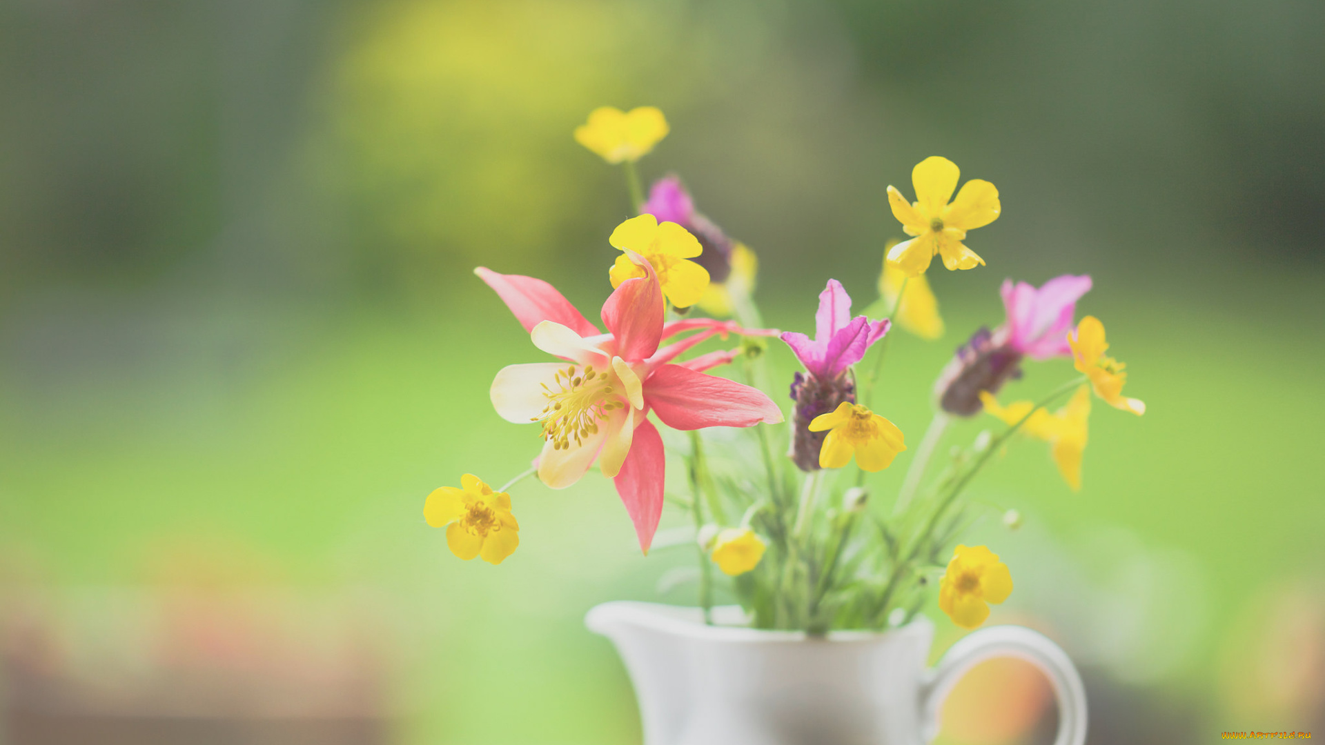 цветы, букеты, , композиции, кувшин