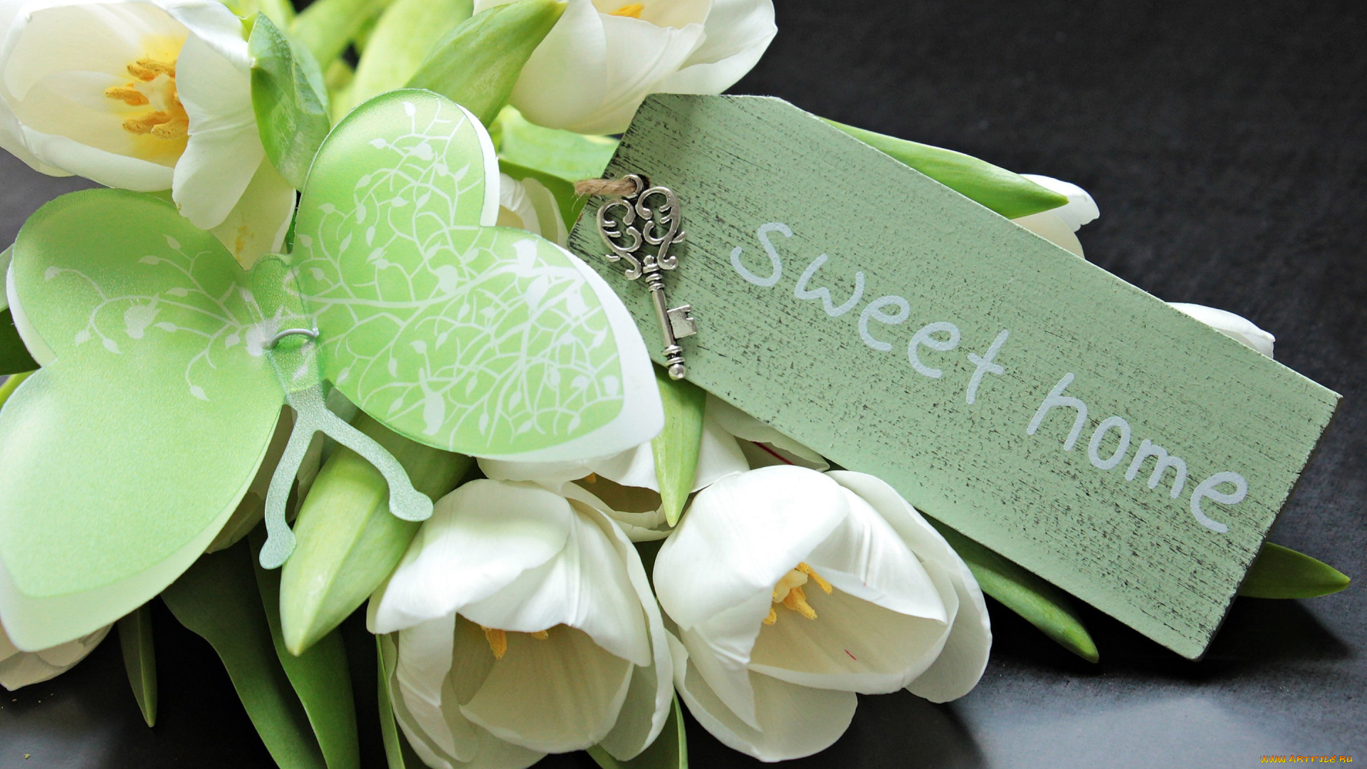 цветы, тюльпаны, бабочка, табличка, ключ