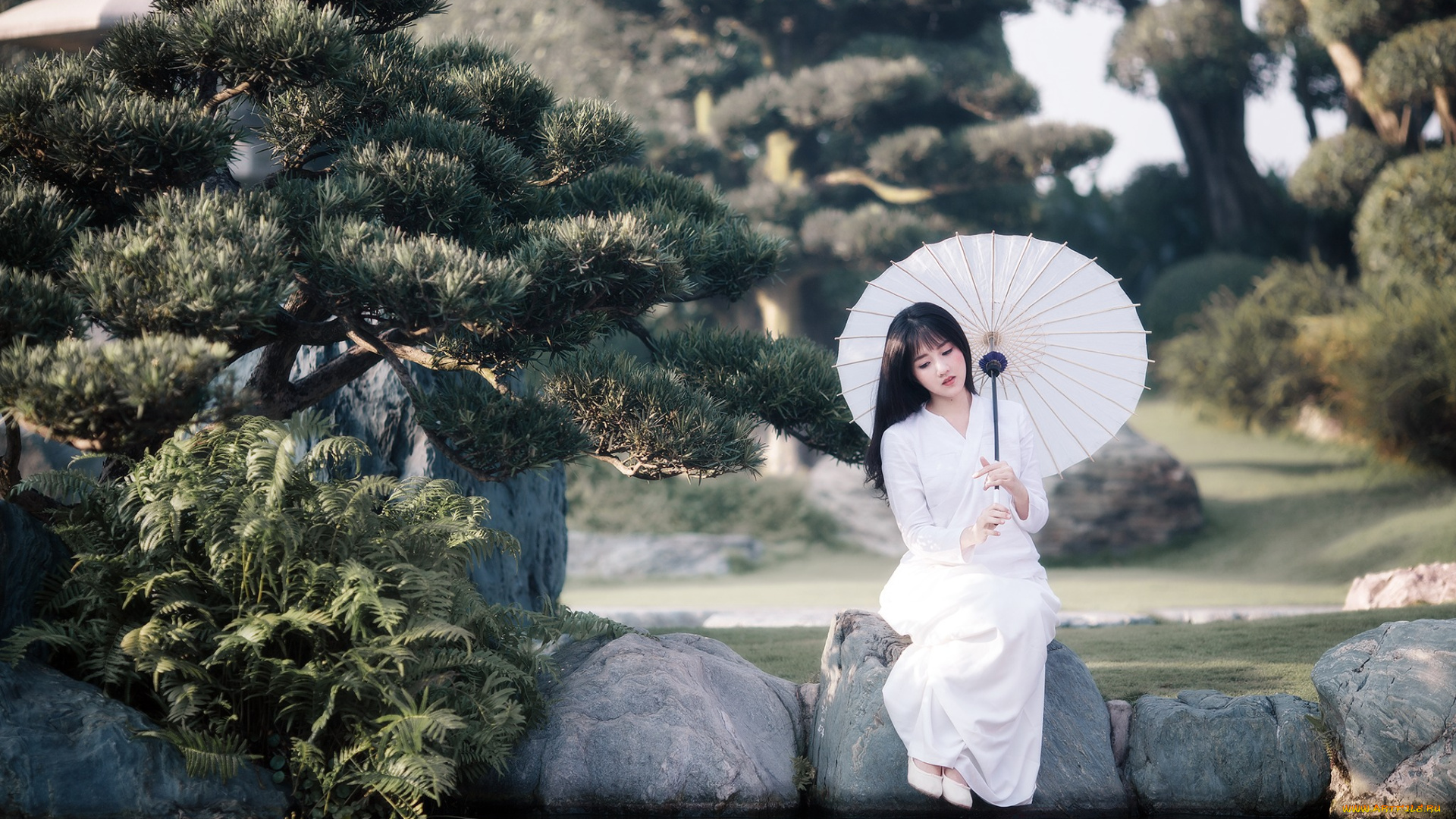 девушки, -unsort, , азиатки, зонт, девушка, азиатка