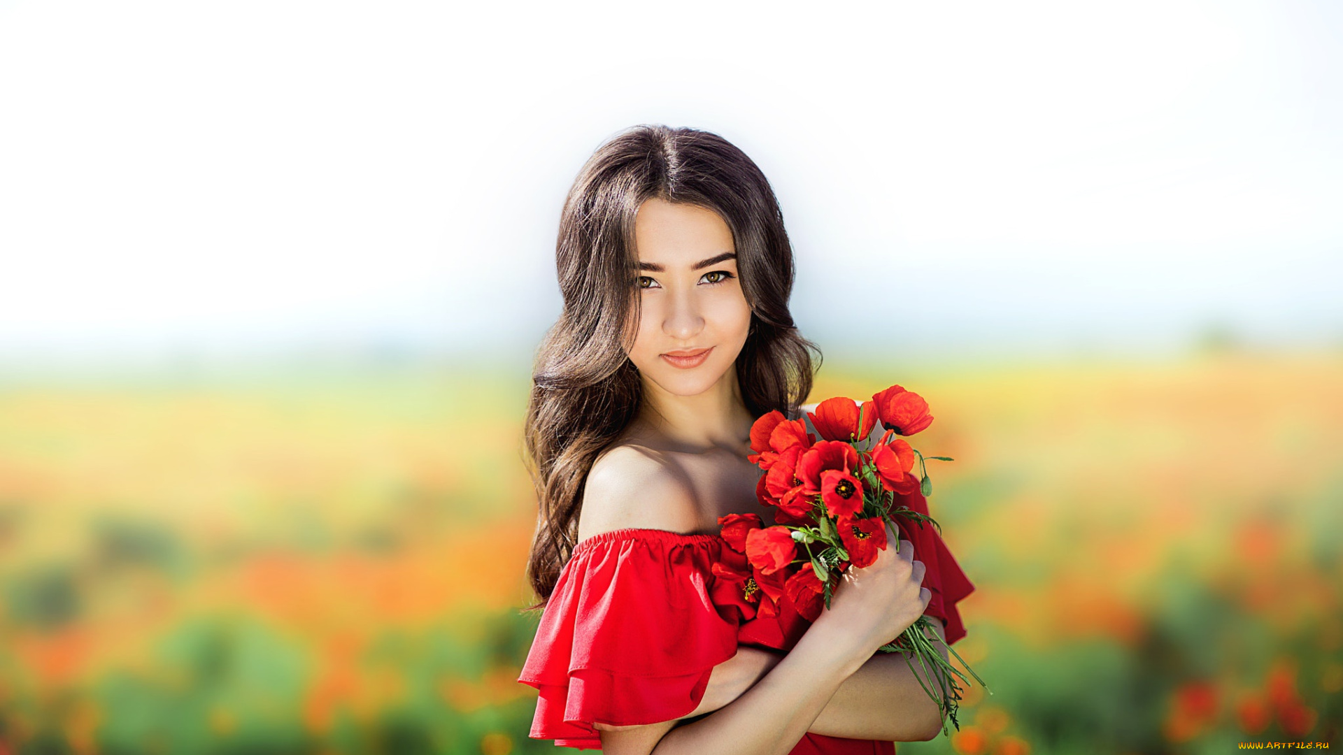 девушки, -unsort, , брюнетки, , шатенки, девушка, маки, поле, цветы, букет, брюнетка, декольте, лето, плечи